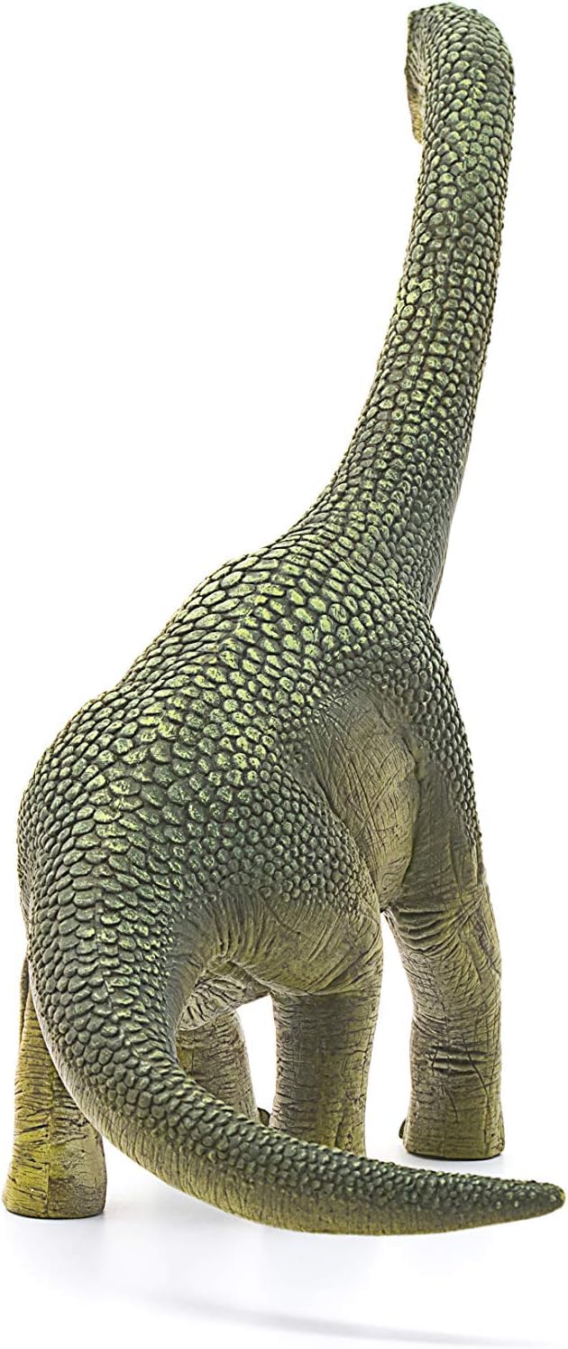 Schleich Dinosaurs - 9.5" Brachiosaurus - Realistic, Durable Green Dinosaur Toy - Educational Fun Long Neck Dino Figurine for Boys and Girls - Montessori Figures for Kids Ages 4+ | 14581