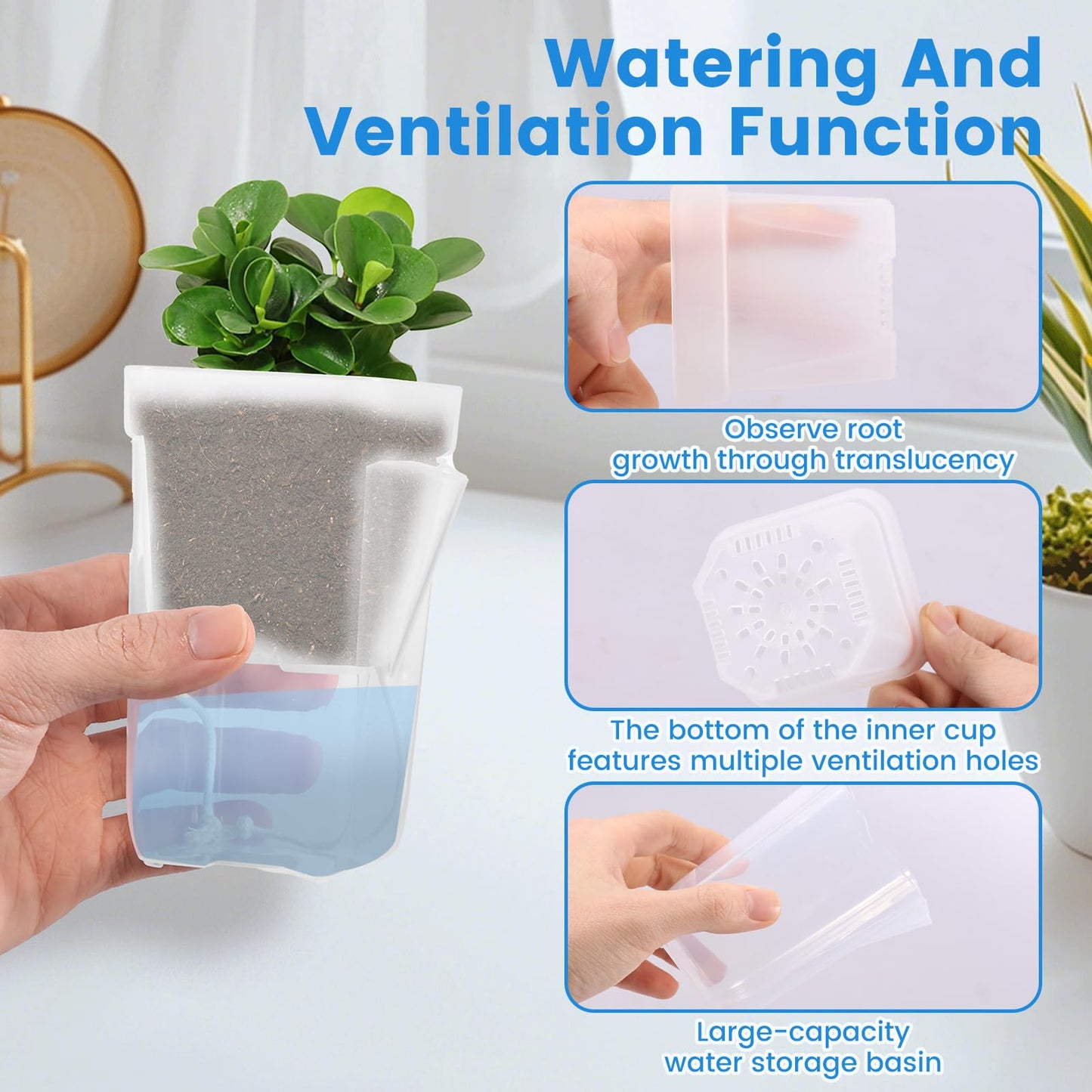 Fizocosisto 12Pcs 2.5Inch Self Watering Pots for Indoor Plant Mini Clear Plastic Planter for Hoya African Violets Alocasia