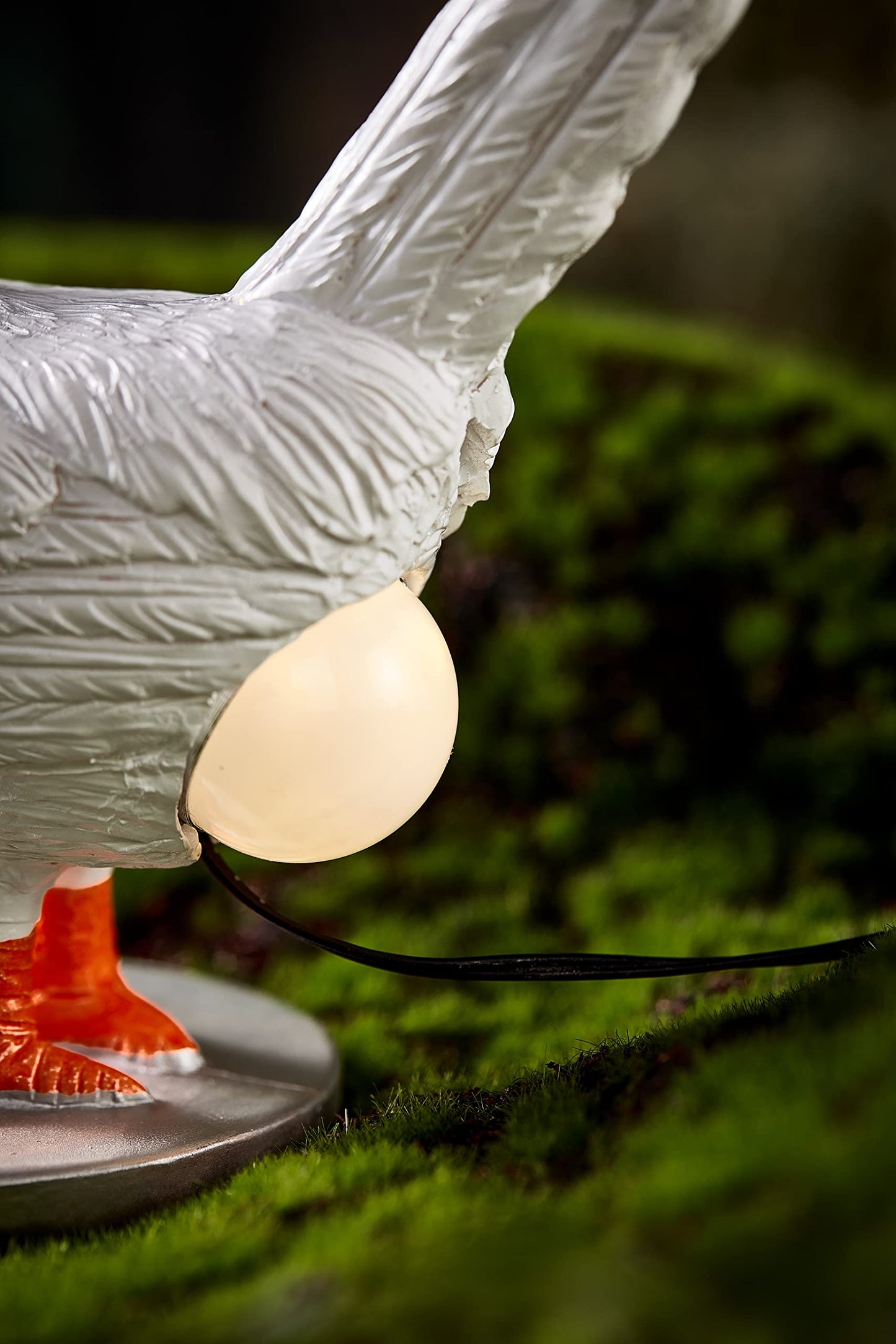 BooLai Chicken Egg lamp,3D Chicken lamp,Lifelike LED Egg Lamp, Funny Resin Chicken Egg Night Light with USB, Colorful Box Packing (A)