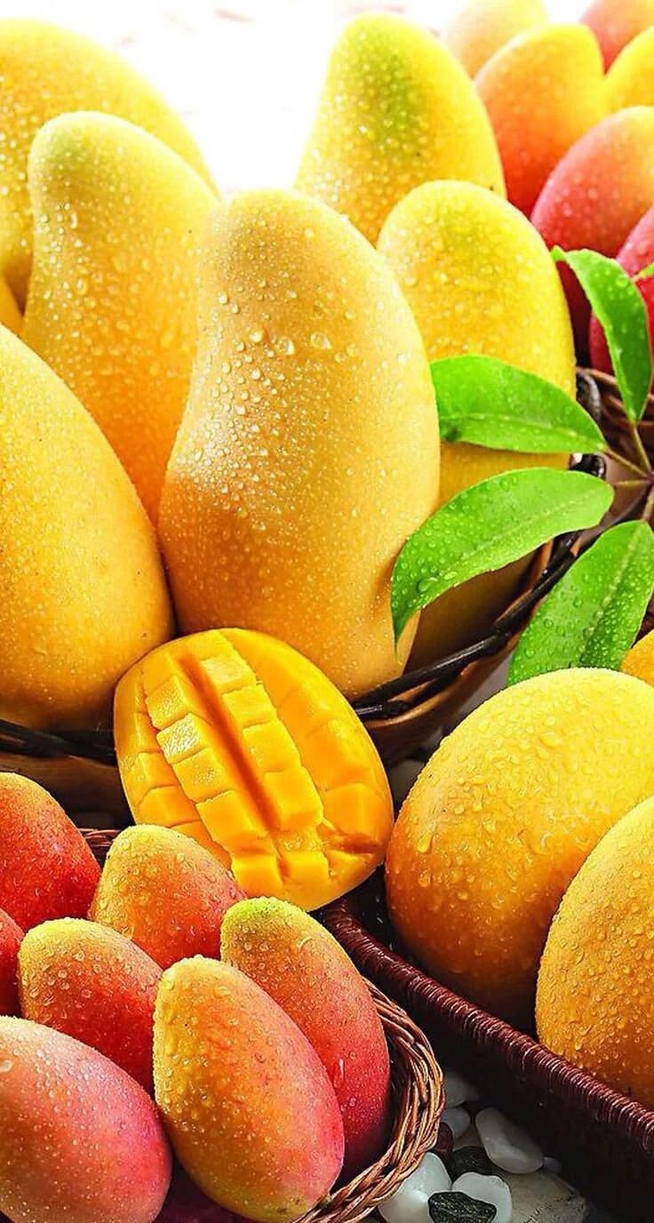 Live Plant - Mango (Pineaple) Live Tree 10 in to 2Ft