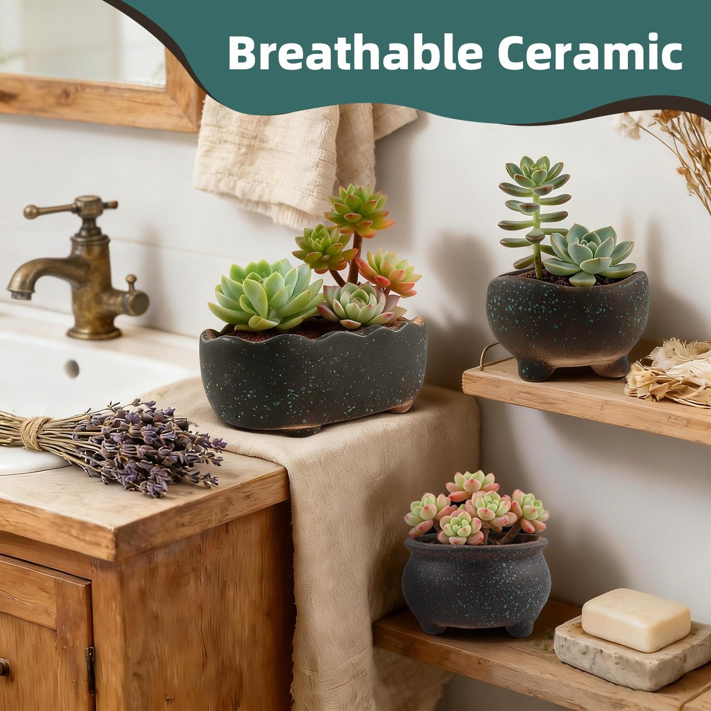 ginojex Retro Ceramic Succulent Garden Pots Small Plant Planter Container with Drainage Set of 5 for Home Office Decor