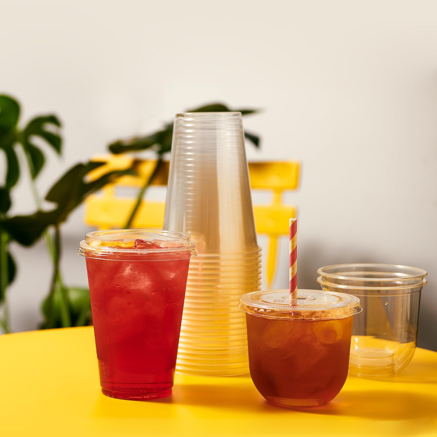 TOSSWARE NATURAL Arc - Plant Based Clear Cold Cups 12 oz - Plastic Alternative for Parties, Bachelorettes, Weddings - Recyclable - Set of 50