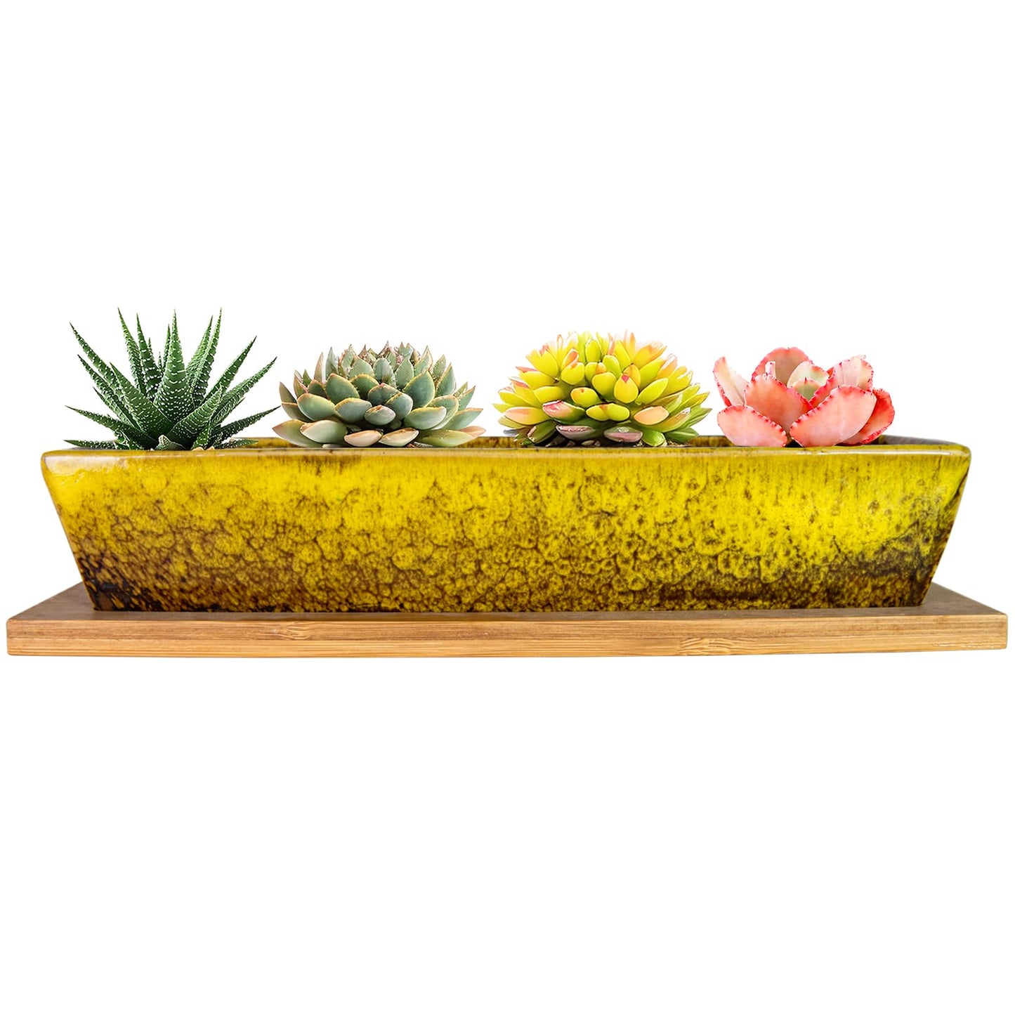 ARTKETTY Succulent Pots, 9.8 Inch Ceramic Succulent Planters with Drainage Small Bonsai Pot with Bamboo Tray, Mini Cactus Flower Planter Pot Shallow Rectangular Window Planters for Indoor Plants