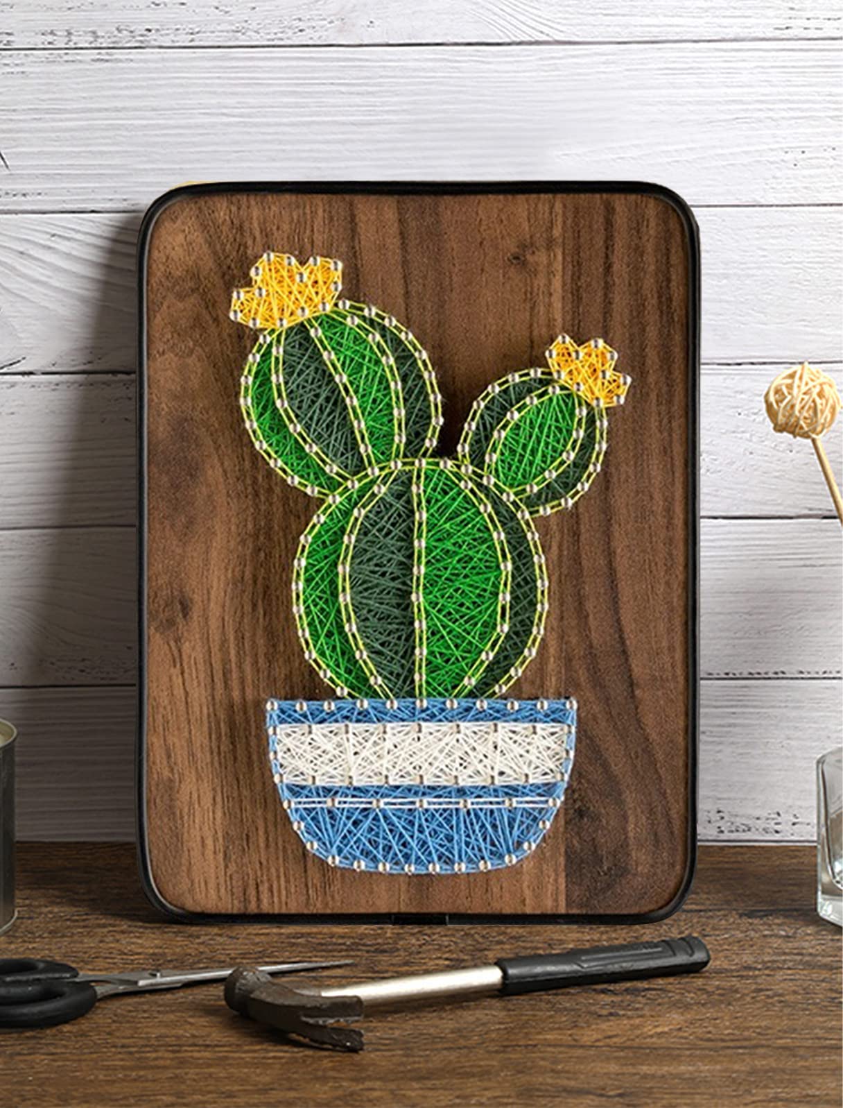 BAZIMA DIY String Art Kit for Beginner, DIY Cactus Potted Craft Kit,Unique Gift,Craft Kit for Holidays