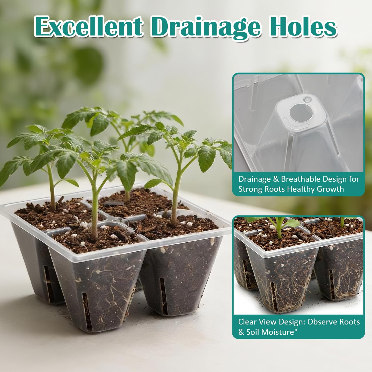 RooTrimmer 80 Pack Reusable 4-Cell Clear Seed Starter Trays - Extra Large Drainage Holes, Easy Transplant, Clear Transparent Tray for Root Observation, Seed Starting, Fits Standard 1020 Flats
