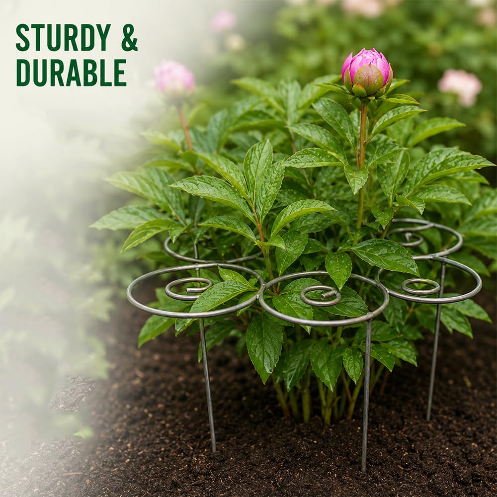 jenvd Metal Plant Support Ring for Garden Flowers, Stackable Plant Stakes for Indoor Outdoor Pots (S)
