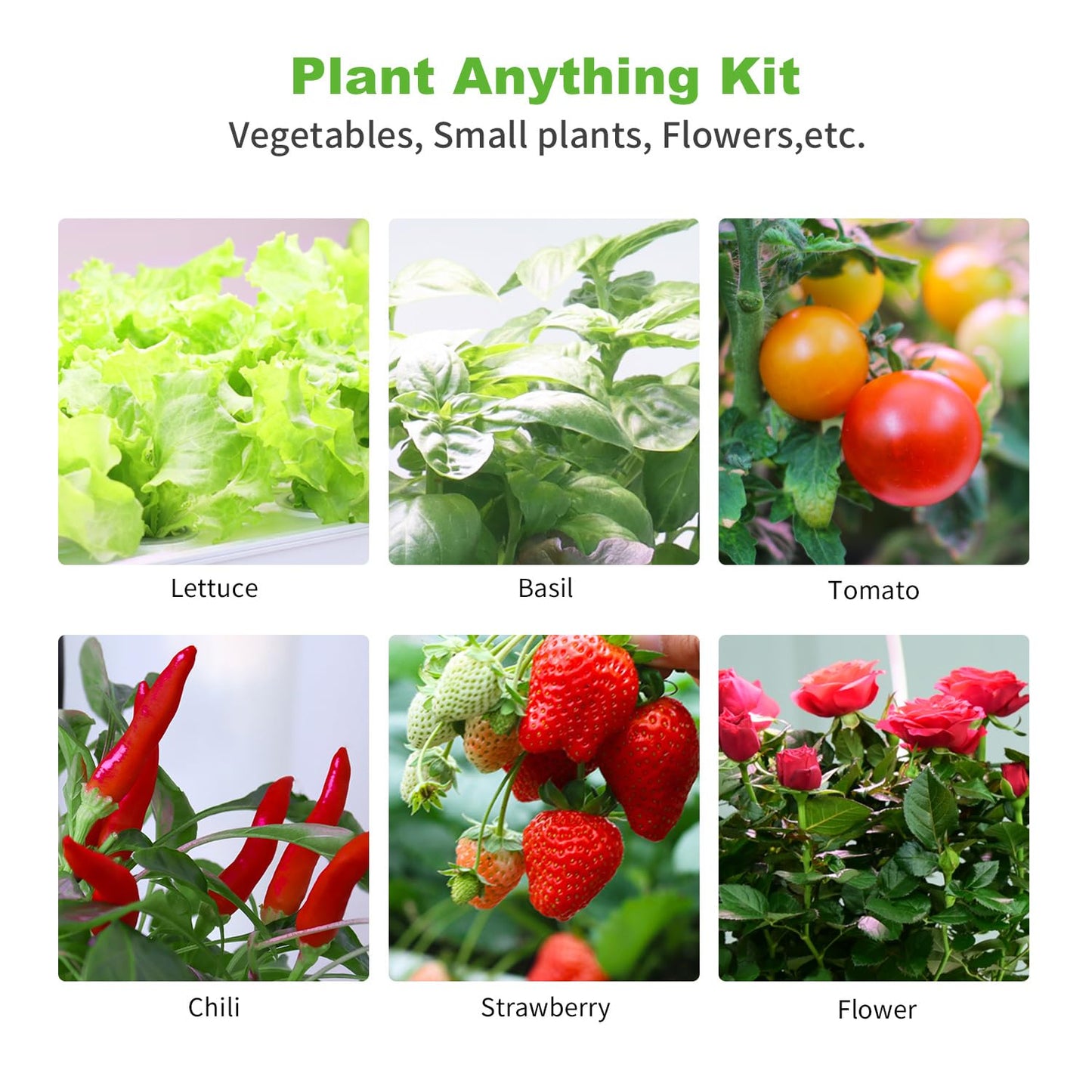 Oliz 50 Pack Hydroponic Grow Baskets with 51PCS Seed Pod Labels Stickers, Replacement Garden DIY Accessories for Most Hydroponic Growing System