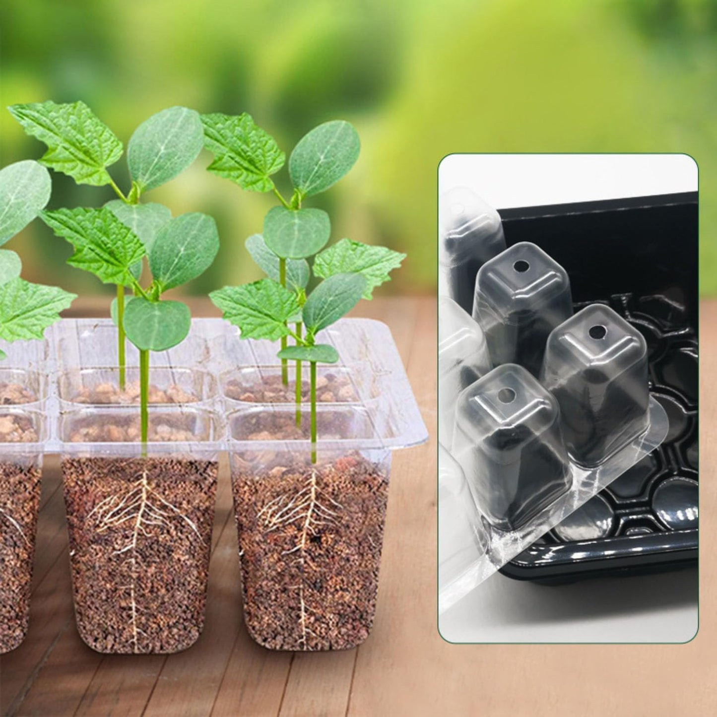 XRR Seed Starter Trays, 72-Cell Seed Tray with LED Grow Lights, Adjustable Humidity Drainage, Germination with Transparent Domes for Succulent Herbs Plant Seedlings, Indoor Seedling Greenhouse, 6 Pack