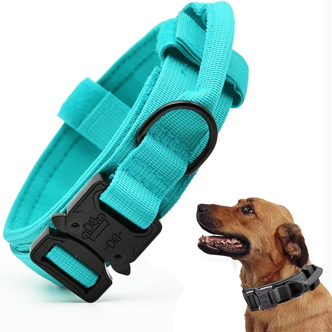 Tactical Dog Collar, Adjustable Military Training Collars, Emerald Green M