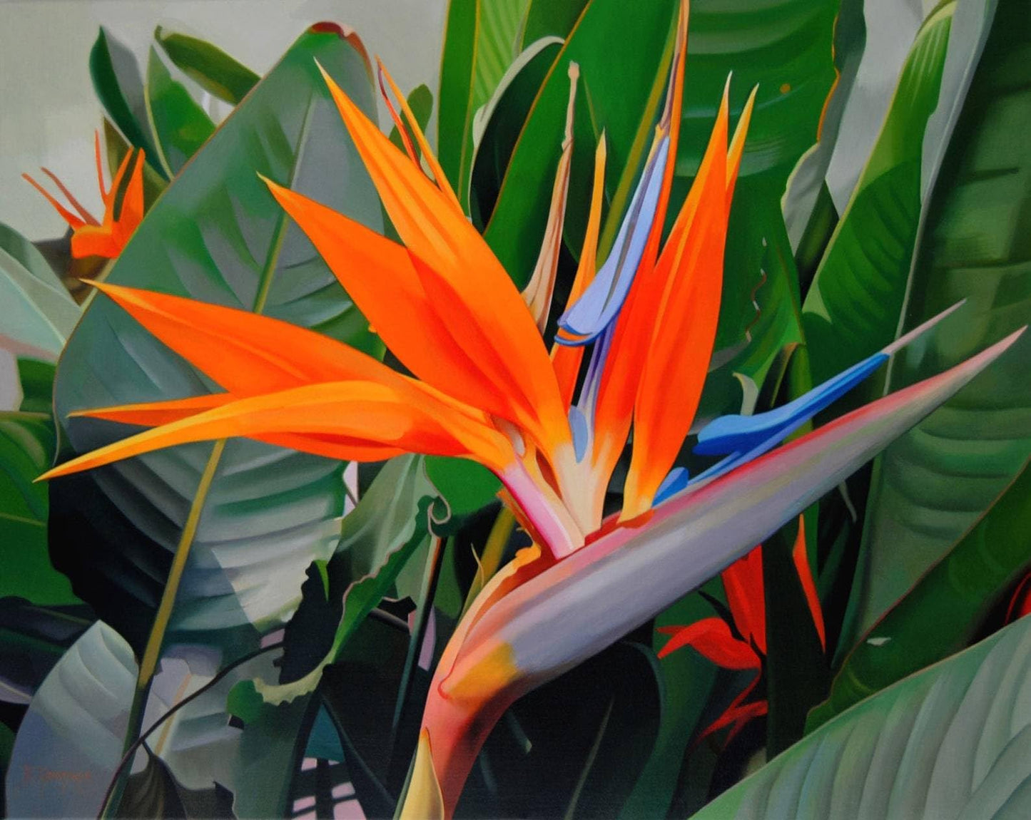 SeedsUP - 3+ Seeds Bird of Paradise Crane Flowers Strelitzia Garden - Flower Orange