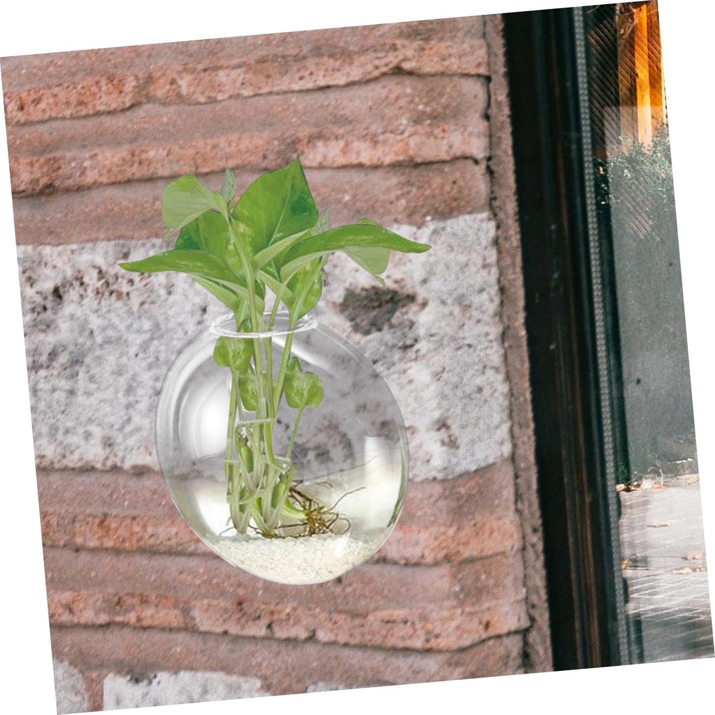 SOLUSTRE Wall Mounted Glass Vase for Hydroponics Plants Hanging Terrarium Planter for Indoor Decor for Propagation Station and Flower Display