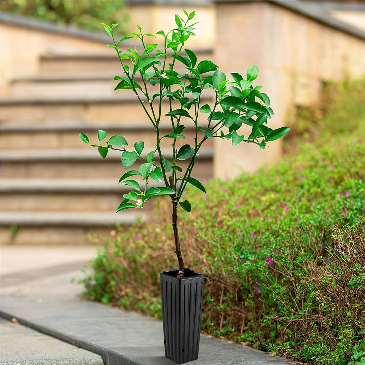 Yardwe 50pcs Deep Tree Pots, 11.2” Citrus Grow Bags Plastic Planting Pots with Holes for Indoor & Outdoor Plants, Vegetables, Fruits