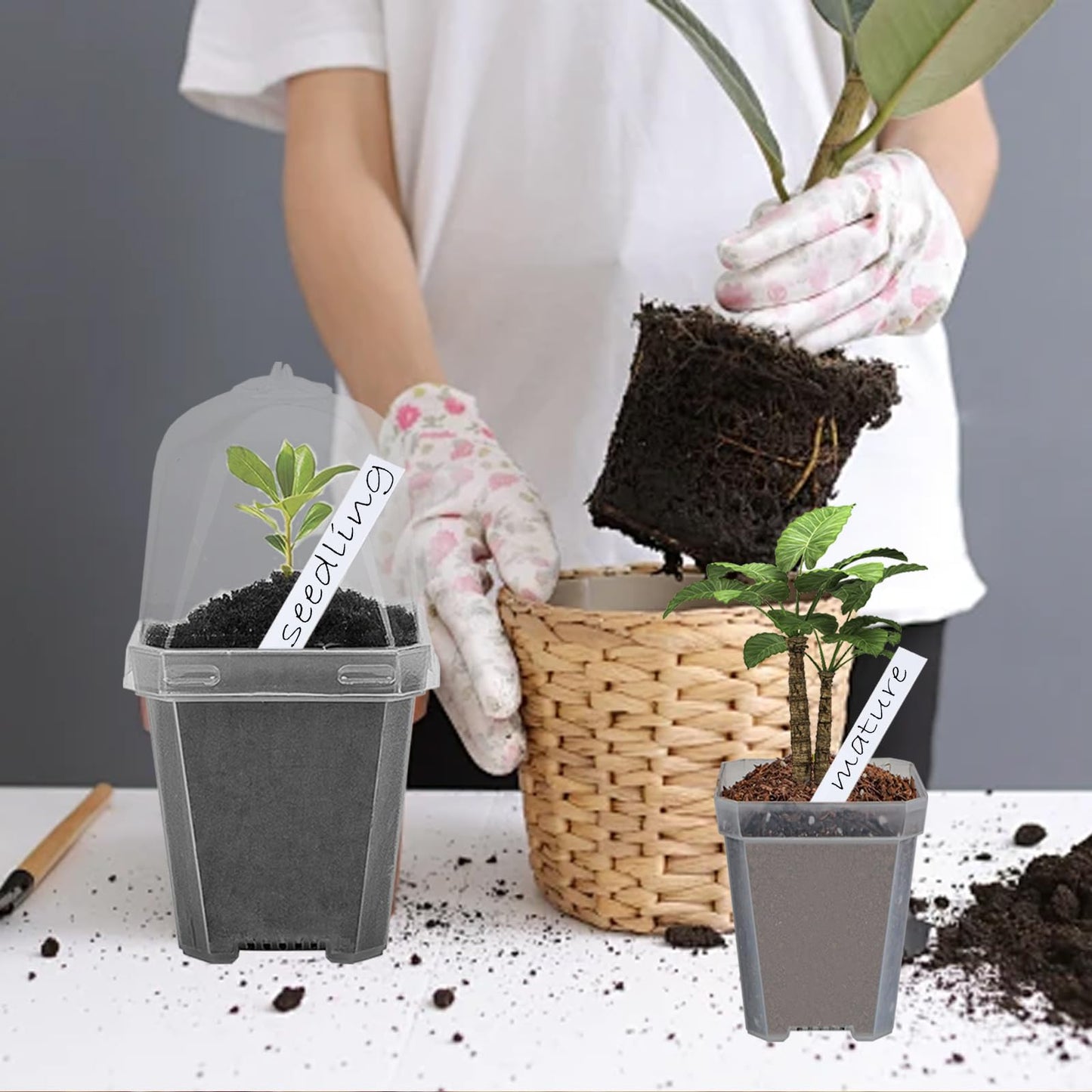 Hyuetrsa 30 Sets Plant Nursery Pots with Humidity Domes, 3" Plastic Gardening Pot with 30 Pcs Labels, Clear Seed Starting Pot Planter Containers with Drain Holes for Seedlings Vegetables Succulents