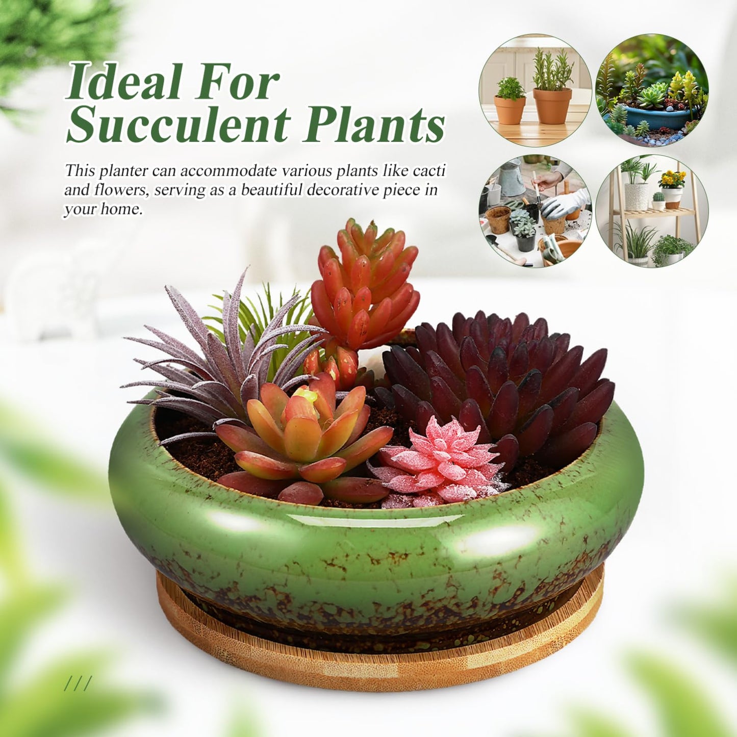 Kisangel Succulent Planters Ceramic Lotus Bowl 7.08 Inch with Drainage Hole and Tray Indoor Bonsai Pot for Cactus and Flower Plant Container Home Garden Decor