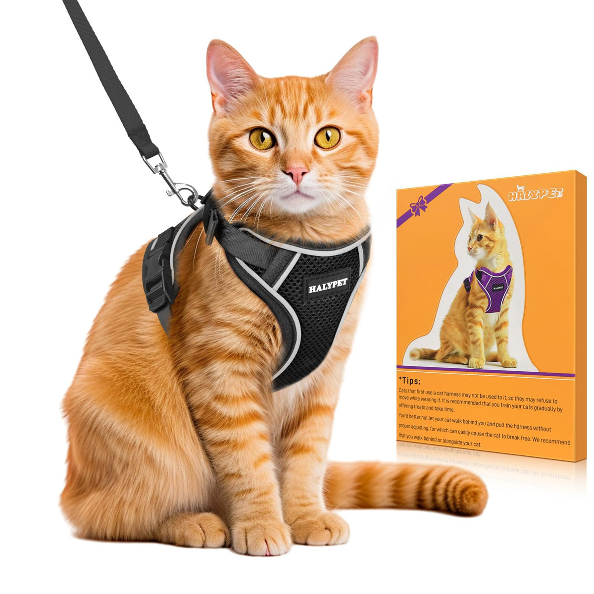 Cat Harness and Leash Set,Escape Proof Kitten Harness,Orange