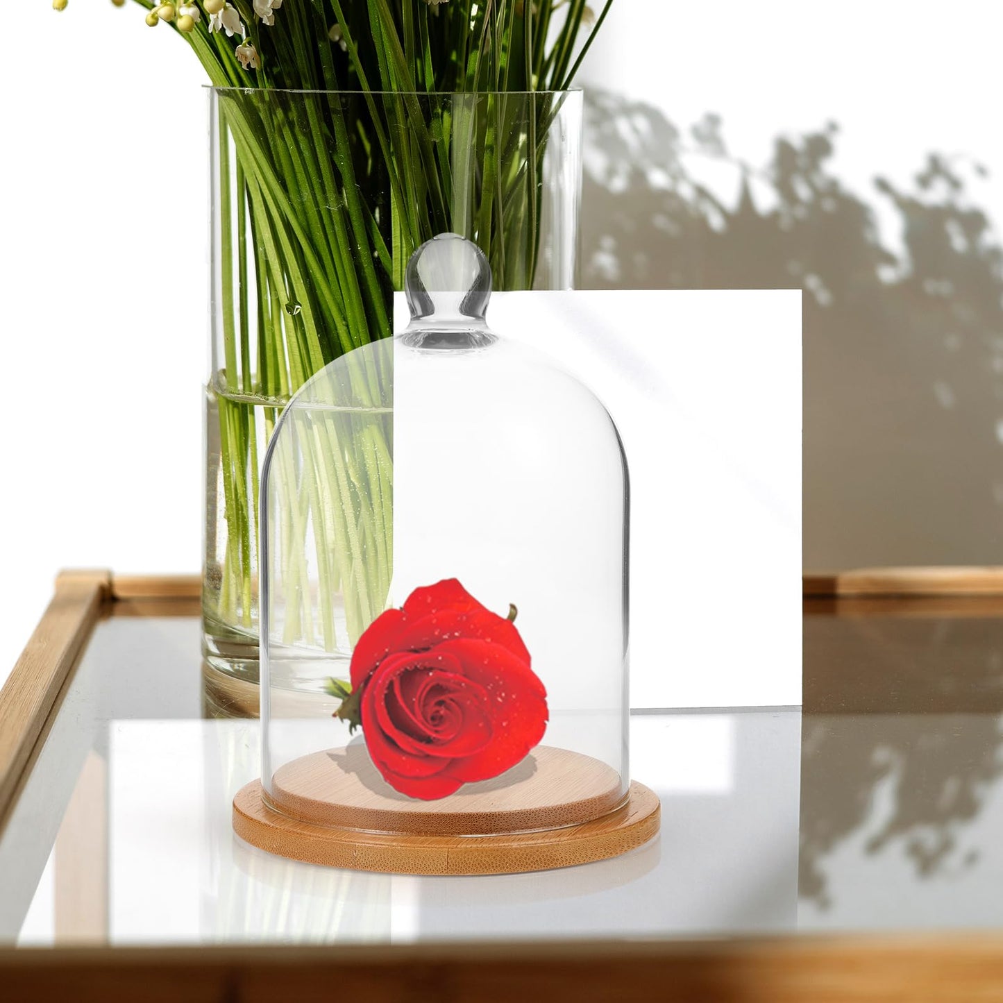 POPETPOP Glass Cloche Dome Bell Jar Display Case 9"" Clear Glass – Space-Saving for Shelf or Desk Display – for Plants, Collectible Figures, Candle Decor, Terrariums