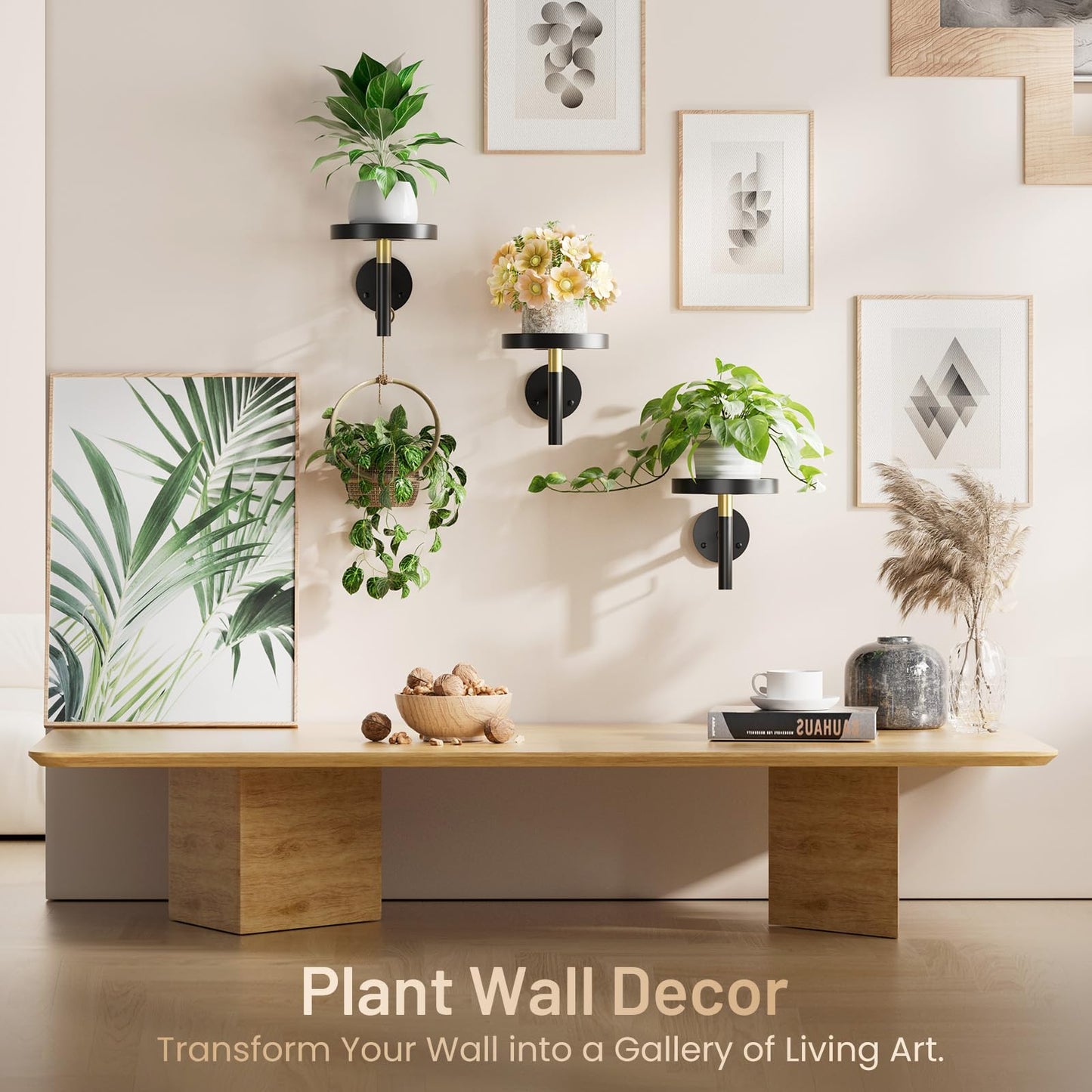 YUOROS 3 Pack Wall Plant Holder Wall Planters for Indoor Plants Hanging Window Plant Shelves Hanger Decor (Black)