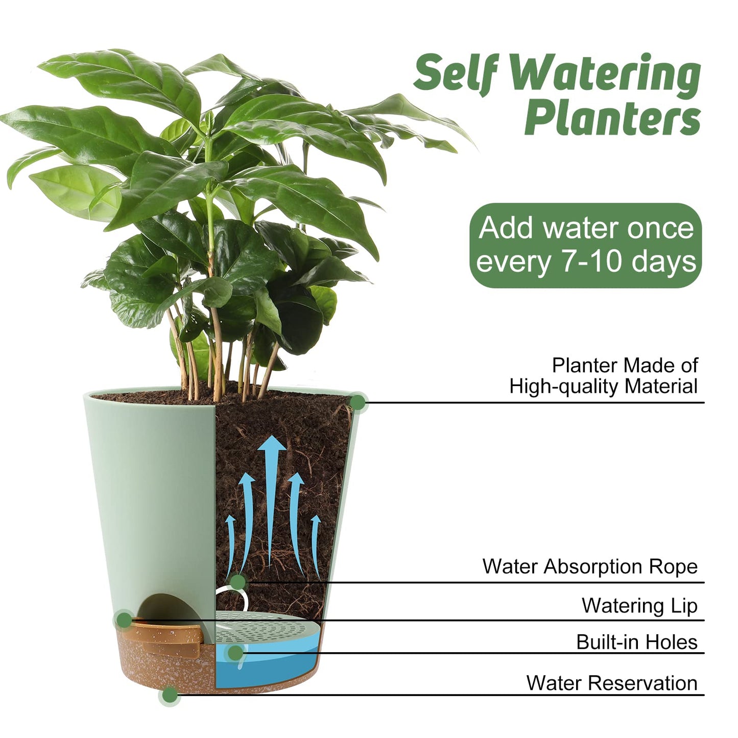 YNNICO Indoor Self Watering Planters with Drainage Holes and Saucers, 8, 7, 6.5, 6, 5.5, 5 Inches, Green, 6 Pots.