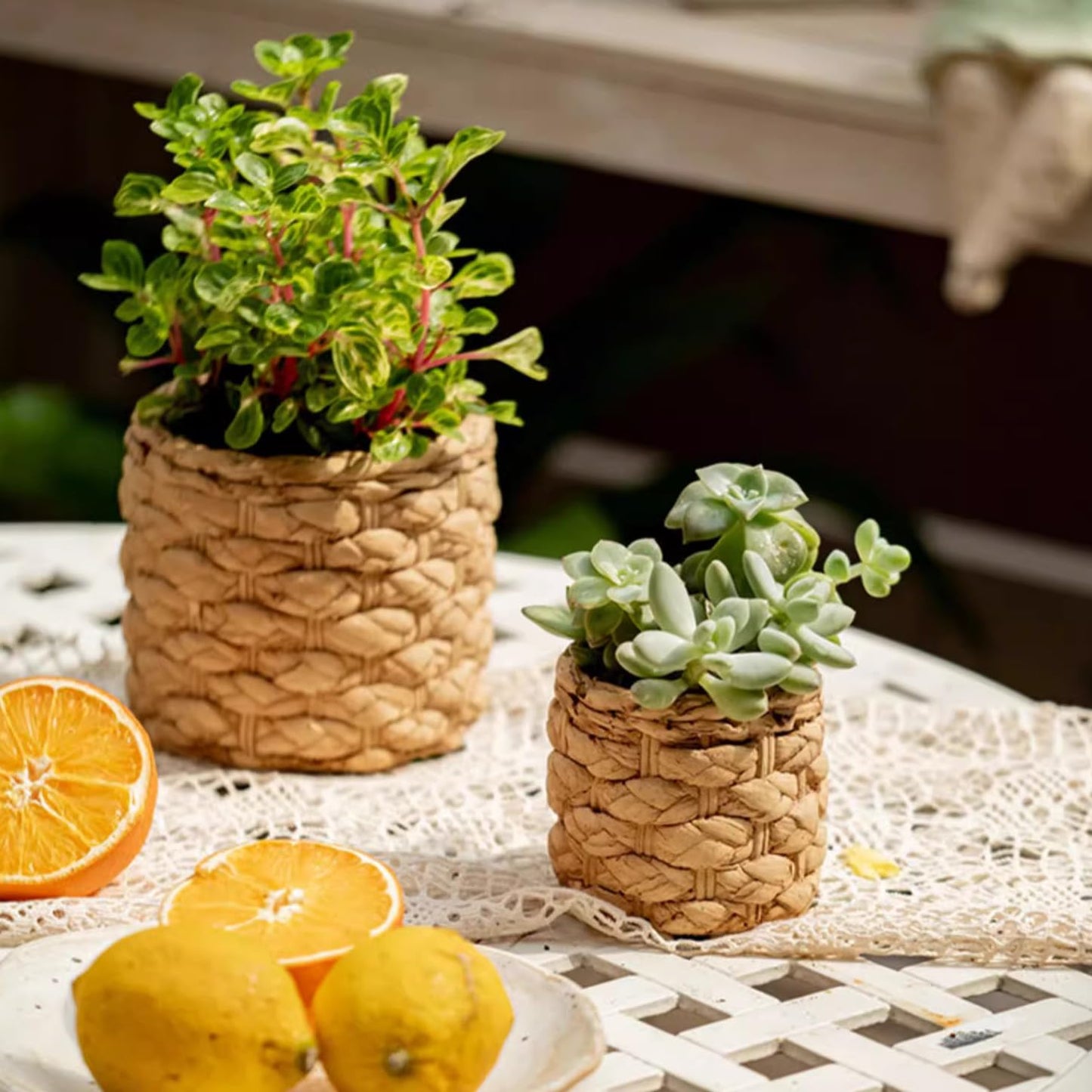 Rustic Reach Grass Woven Looking Cement Planter Large