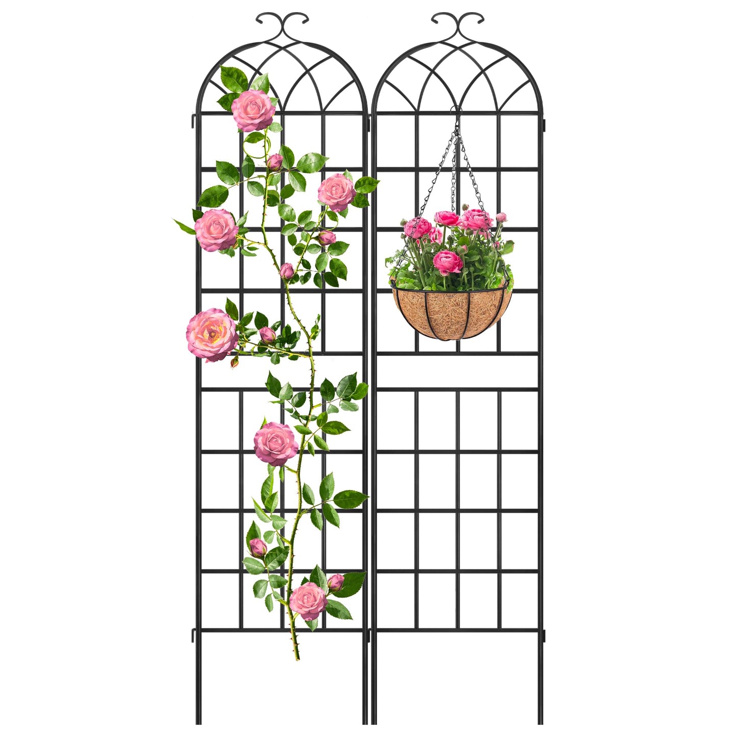 LZRS 2 Pack 83x20in Rustic Iron Arch Decoration Garden Trellis with Black Metal Coating – Perfect for Supporting Climbing Plants Outdoor, Roses, Vines, Flowers, and Vegetables.