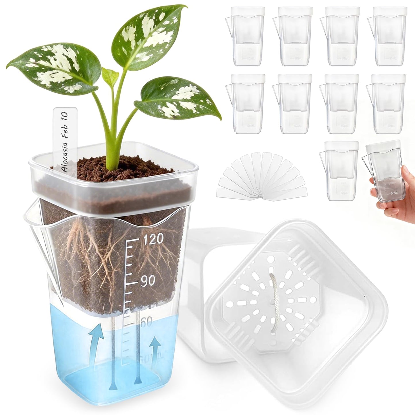 10 Pack 2" Small Self Watering Pots for Indoor Plants, Clear Mini Plastic Planter with Labels,Water Level Indicator, ,Mini Self Watering Pot for African Violet,Semi-Hydro,Propagation,Seeding,Cutting