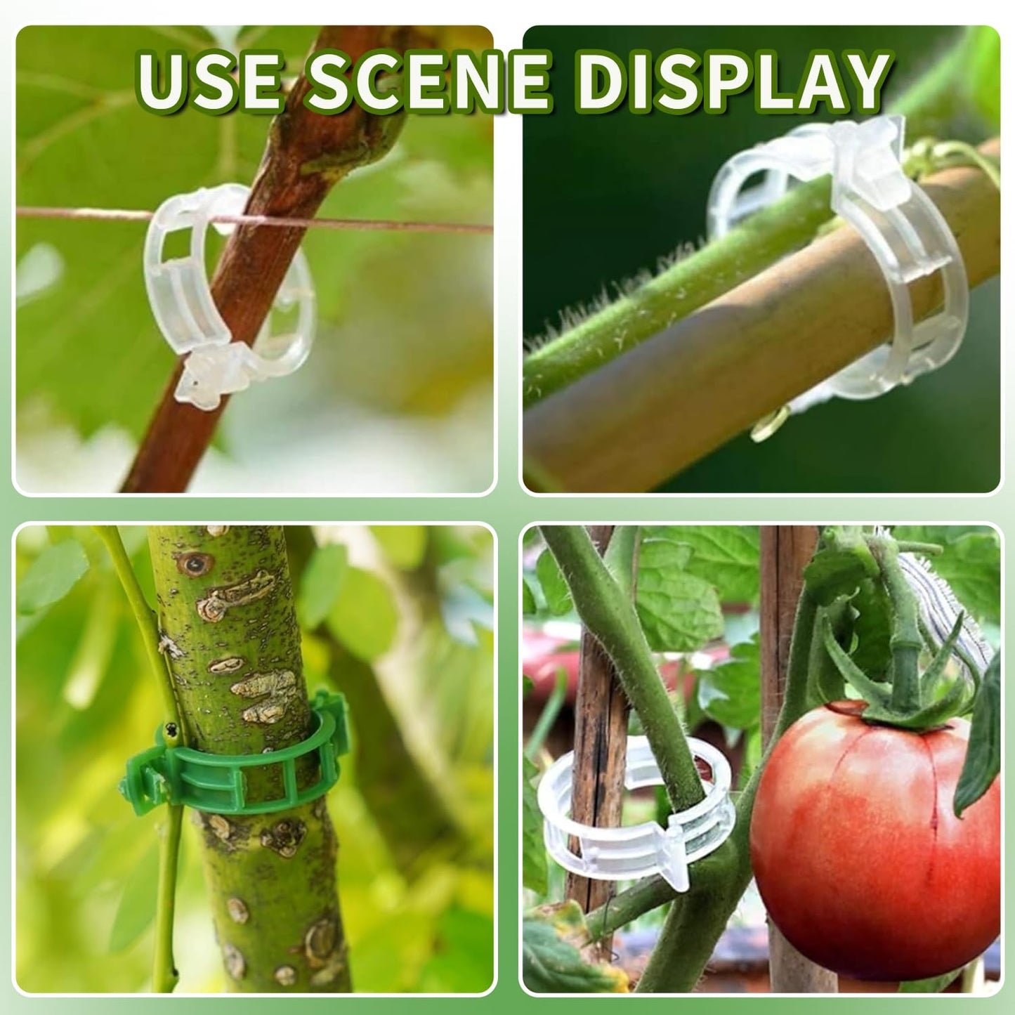 oddmmo 200 Pack Secured Plastic Plant Clips, 2024 Combinable Plant Support Clips, Plastic Trellis Clips for Climbing Plants, Vine Vegetables Fixing Clips, Plant Clips for Tomato Trellis & Peony Cages