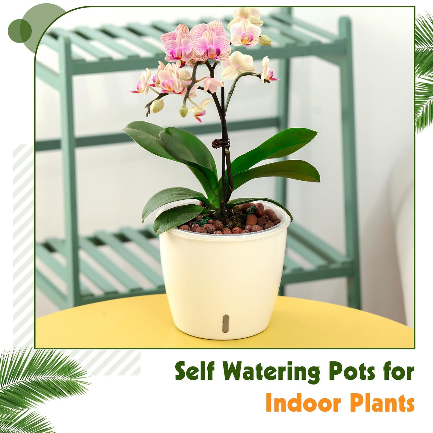 KvyusFlourish Self Watering Pots for Indoor Plants, 6-Pack 5'' Self Watering Planter with Drainage Holes, Small African Violet Pots with Water Indicator, Clear Wick Orchid Pot, White