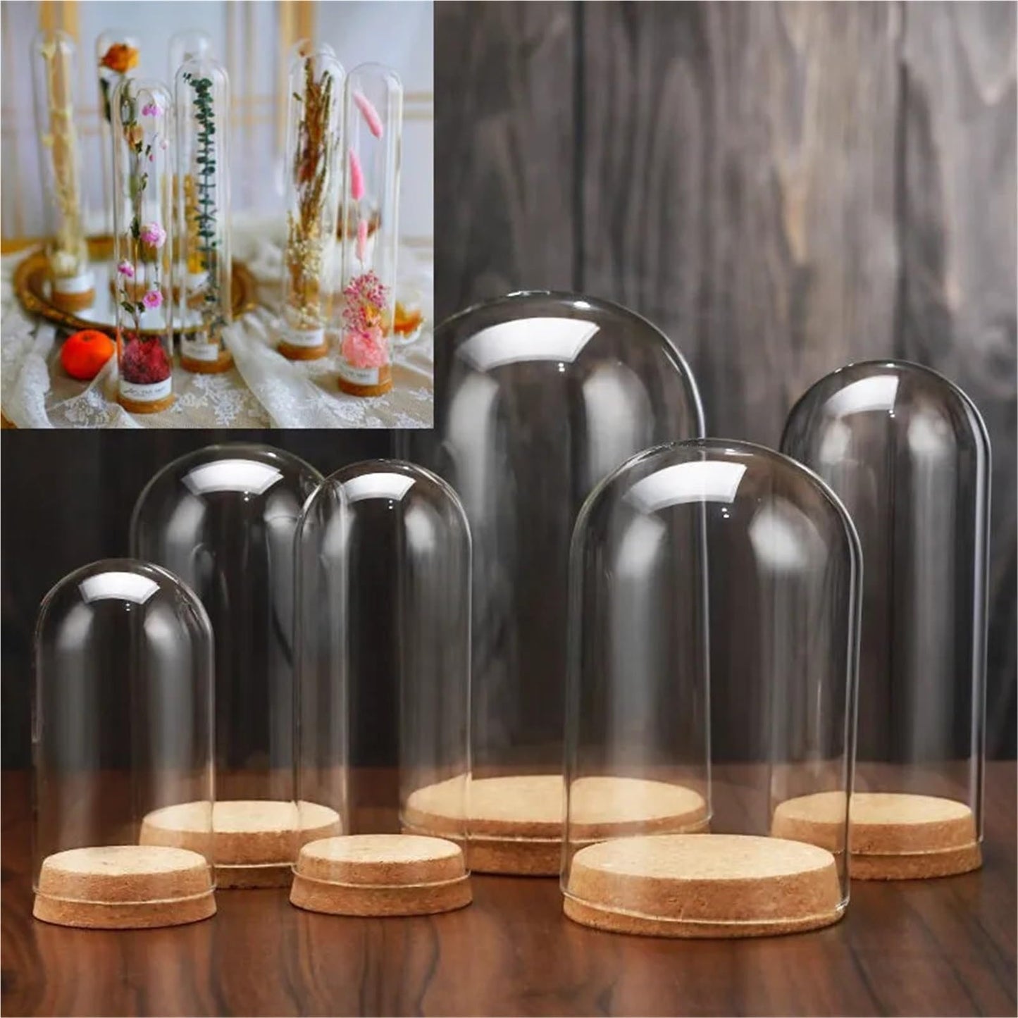 10X Da30mm Glass Bottle Terrarium Jar Cork Base Dome Dust Cover DIY Specimen Succulent Plant Micro Landscape Flower Vase Display(30x40cm)