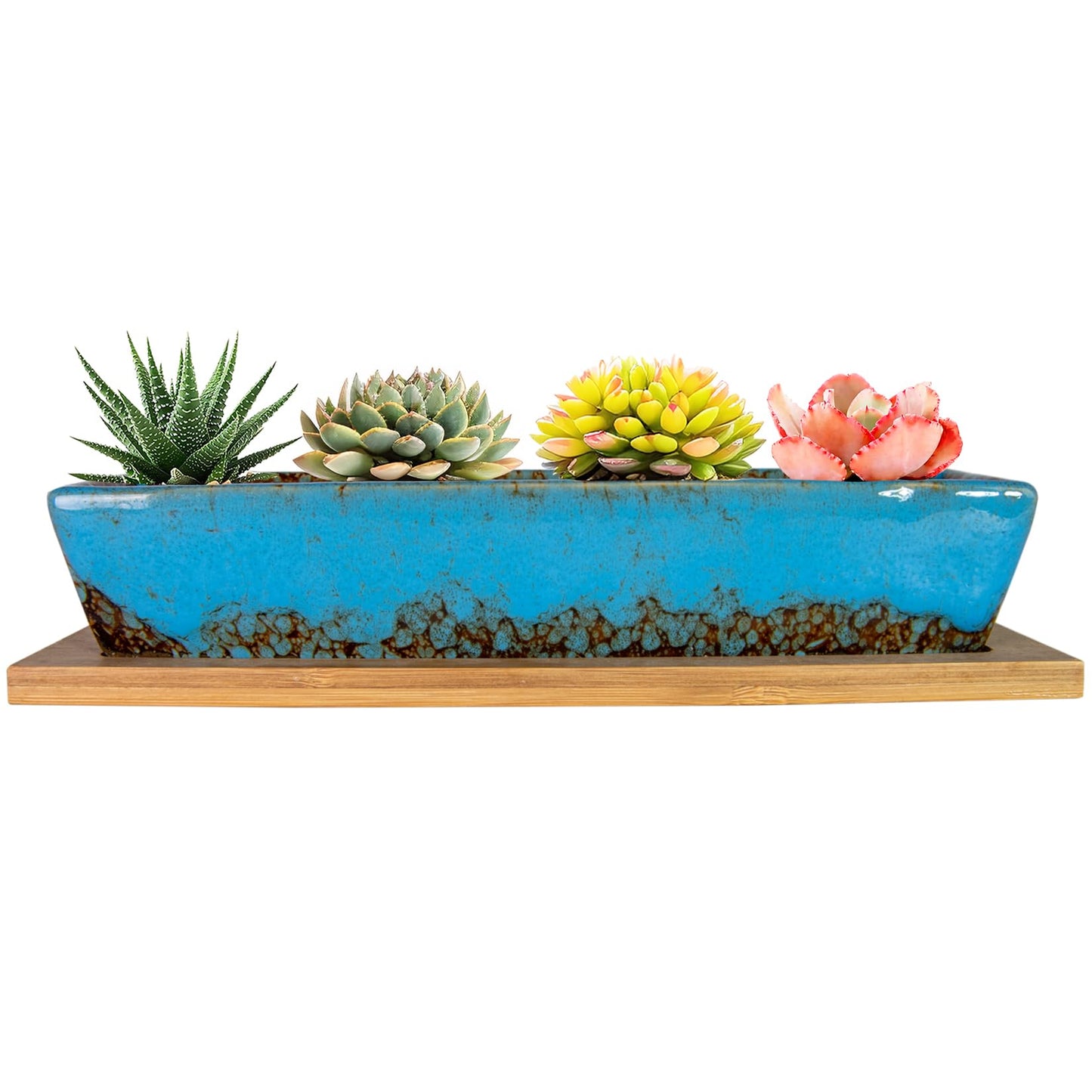 ARTKETTY Succulent Pots, 9.8 Inch Ceramic Succulent Planters with Drainage Small Bonsai Pot with Bamboo Tray, Mini Cactus Flower Planter Pot Shallow Rectangular Window Planters for Indoor Plants