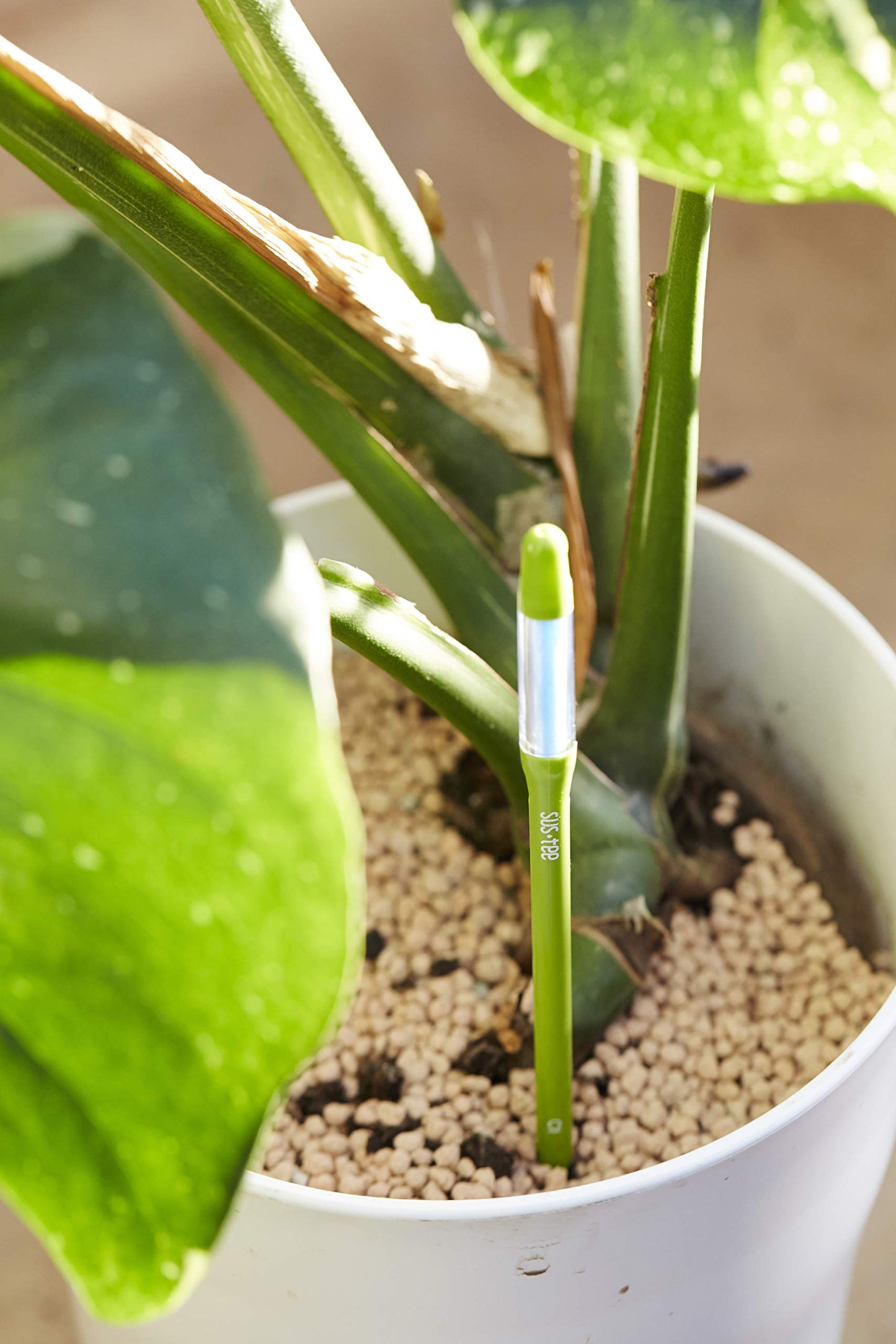 Sustee Aquameter, Set of 5, Plant Soil Moisture Sensor (Green, Medium)