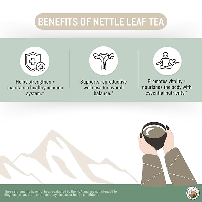 Ancient Paths Nettle Leaf Herbal Tea - Overall Wellness Support Nettle Tea - 100% Pure Dried Nettle Leaves - Energy Booster & Bone Support - Caffeine-Free Tea - USA Grown (20 Sachets)