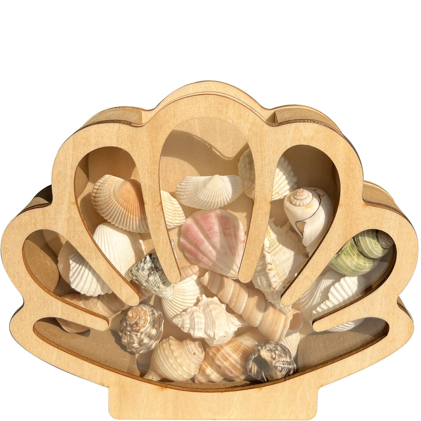 SEP SHIZHI Wooden Seashell Display Case with Acrylic Window, Sea Shell Holder, Sea Glass Shark Tooth Starfish Storage Collection Shadow Box, Memory Keepsake Box, Coastal Home and Room Decor