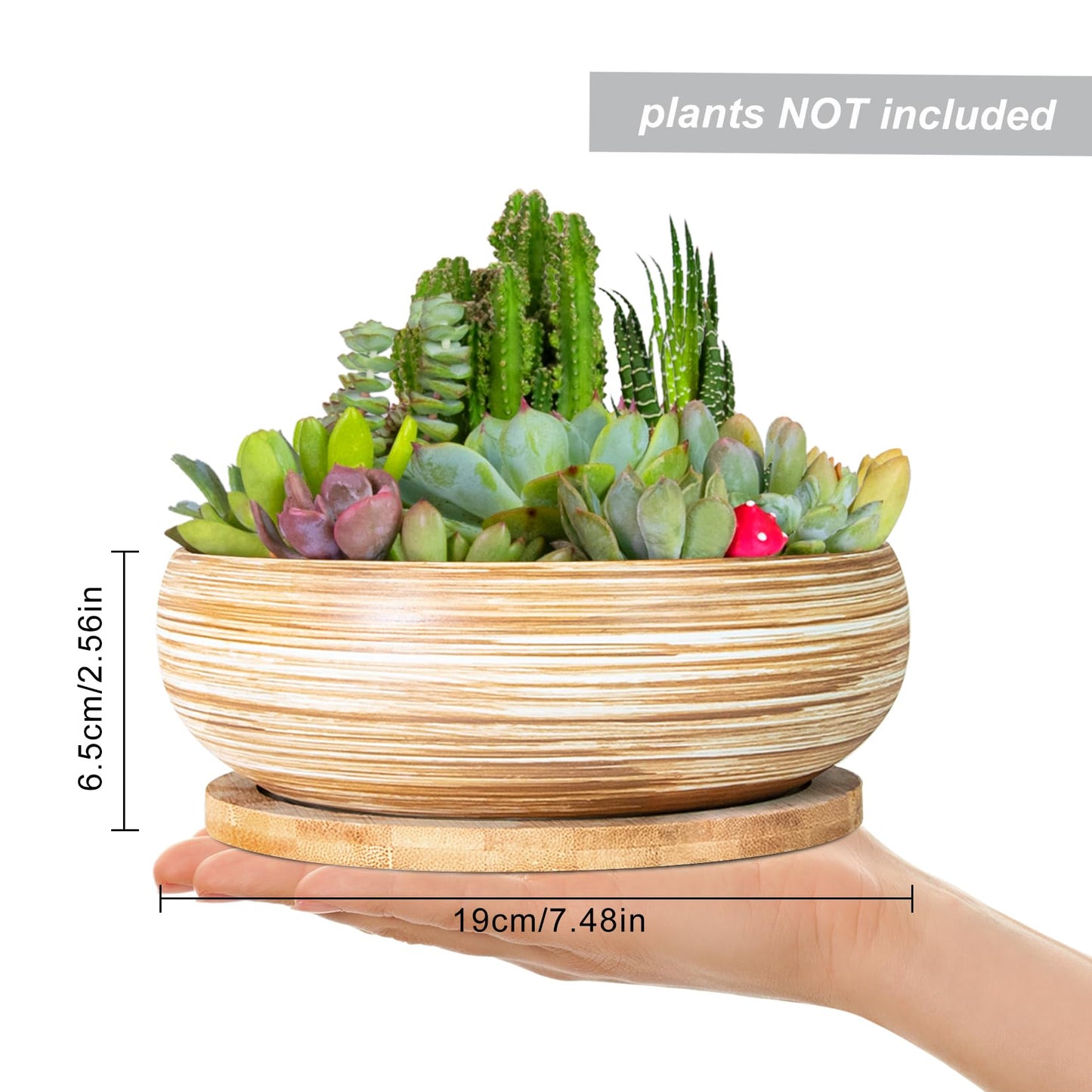 ARTKETTY Succulent Pots - 7.5 Inch Large Plant Pot with Bamboo Tray, Shallow Bonsai Pots with Drainage, Ceramic Planter for Indoor Plants, Cactus, Home Office Desk Decor