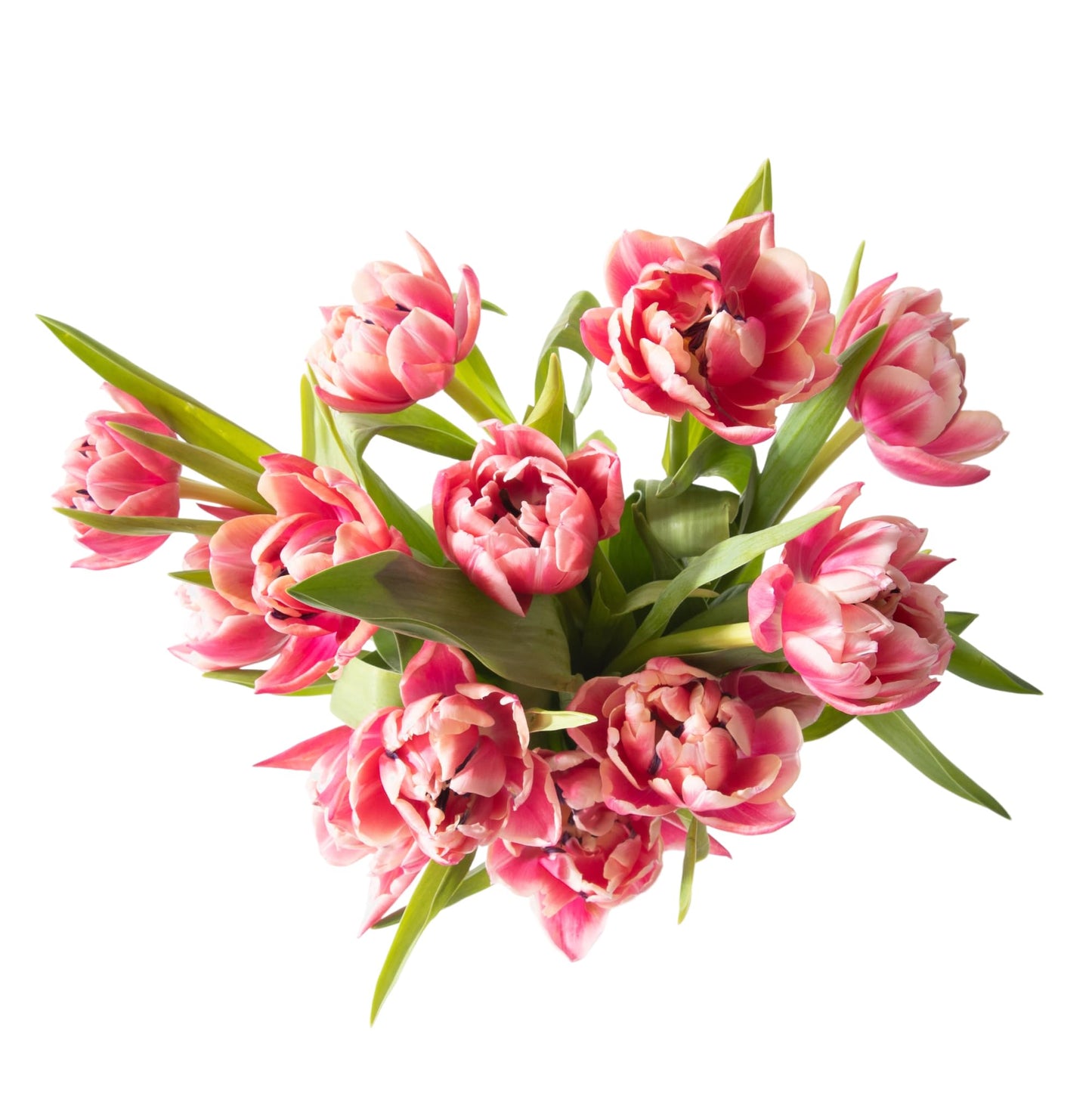 UrbanStems – The Parasol Bouquet (No Vase) – Fresh Flowers for Delivery – Birthday, Thank You, or Congratulations