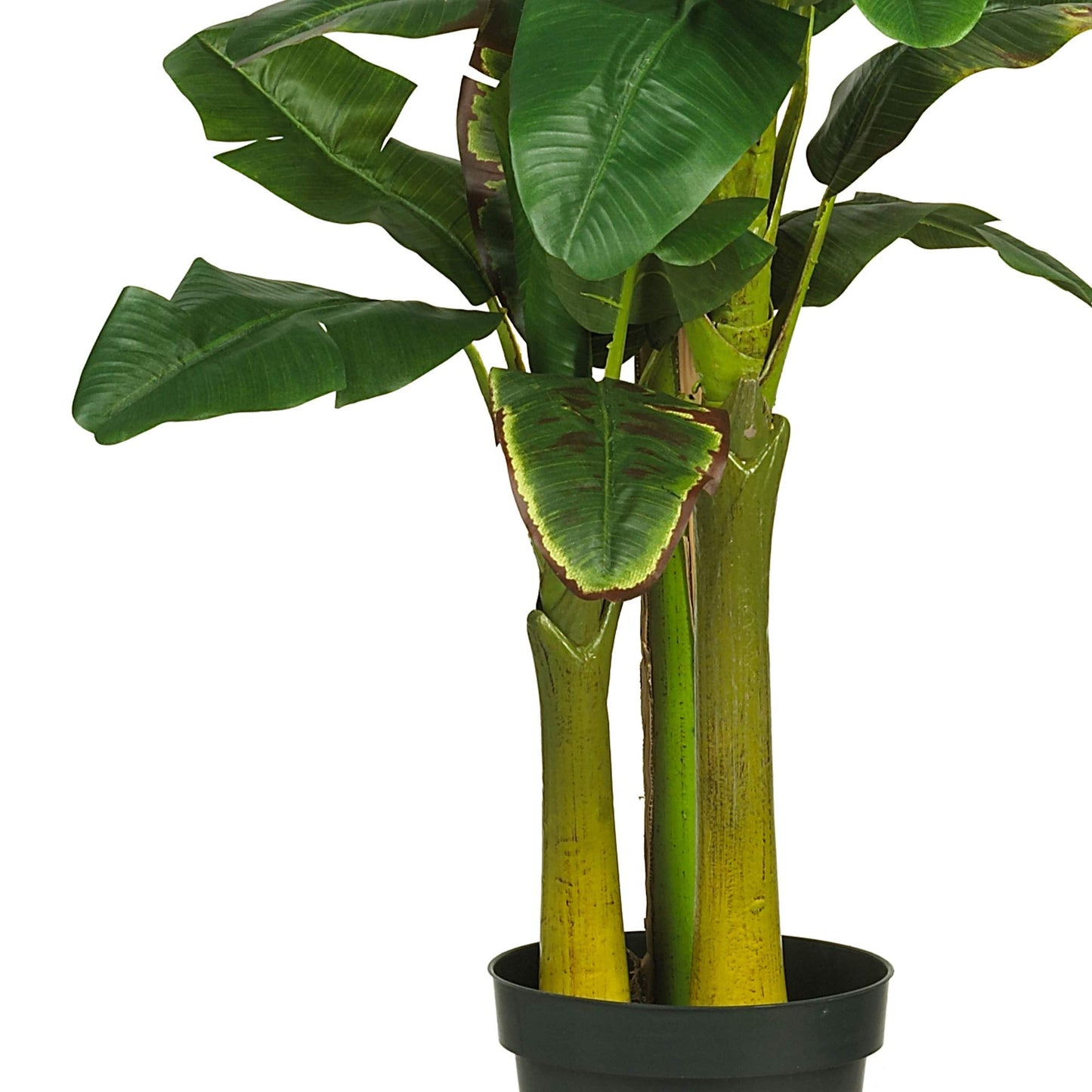 Nearly Natural 5226 6ft. Triple Stalk Banana Silk Tree , Green , 53.25" x 13" x 11.5"