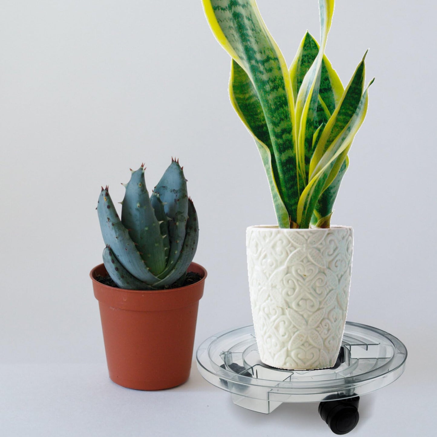 GANAZONO Removable Plant Pot Stand with Smooth Rolling Wheels 11.81 Inch Clear Plastic Caddy for Indoor and Outdoor Large Flower Pots