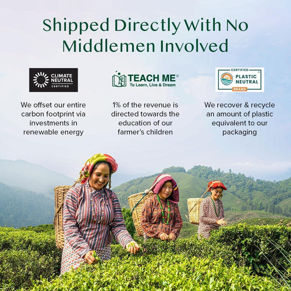 VAHDAM, Green Tea Variety Pack Sampler Assortment (36 Pyramid Tea Bags, 6 Flavor) | Non-GMO Project Verified Himalayan Green Tea with No Artificial Ingredients | Gifts for Women & Men