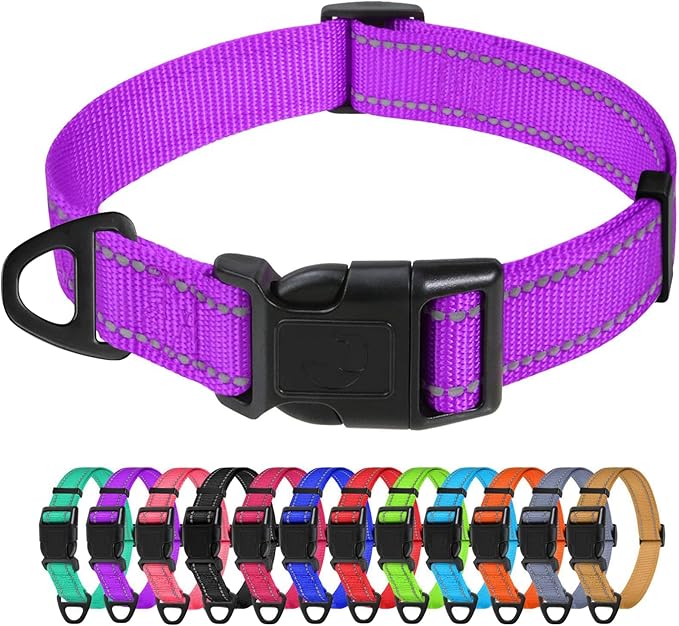 TagME Large Dog Collar, Reflective Nylon Collar, Khaki, 1.0" Width