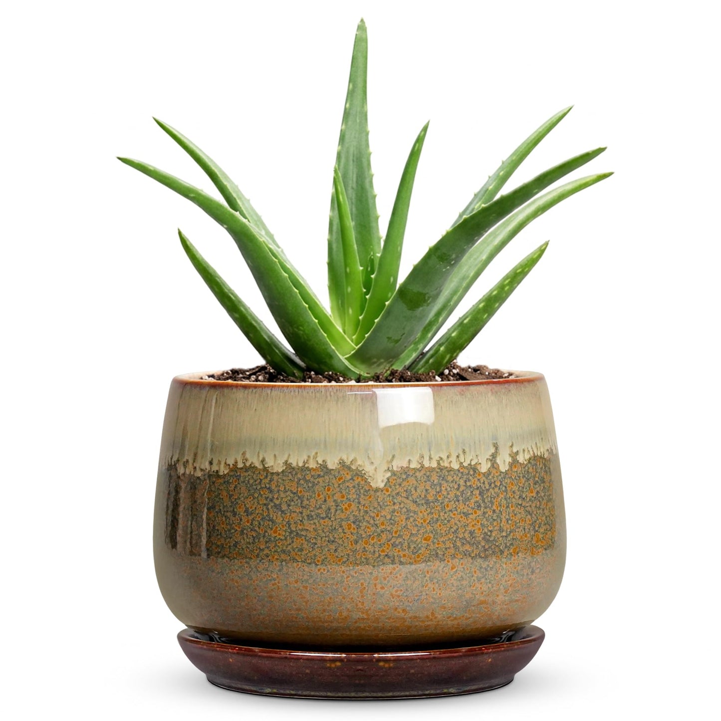 Fivepot Ceramic Plant Pots - 6 Inch Planter with Drainage and Saucer, Round Ceramic Pots for Indoor Plants, Decorative Small Planter, Office Living Room Decor, Housewarming Gifts, Brown-Beige
