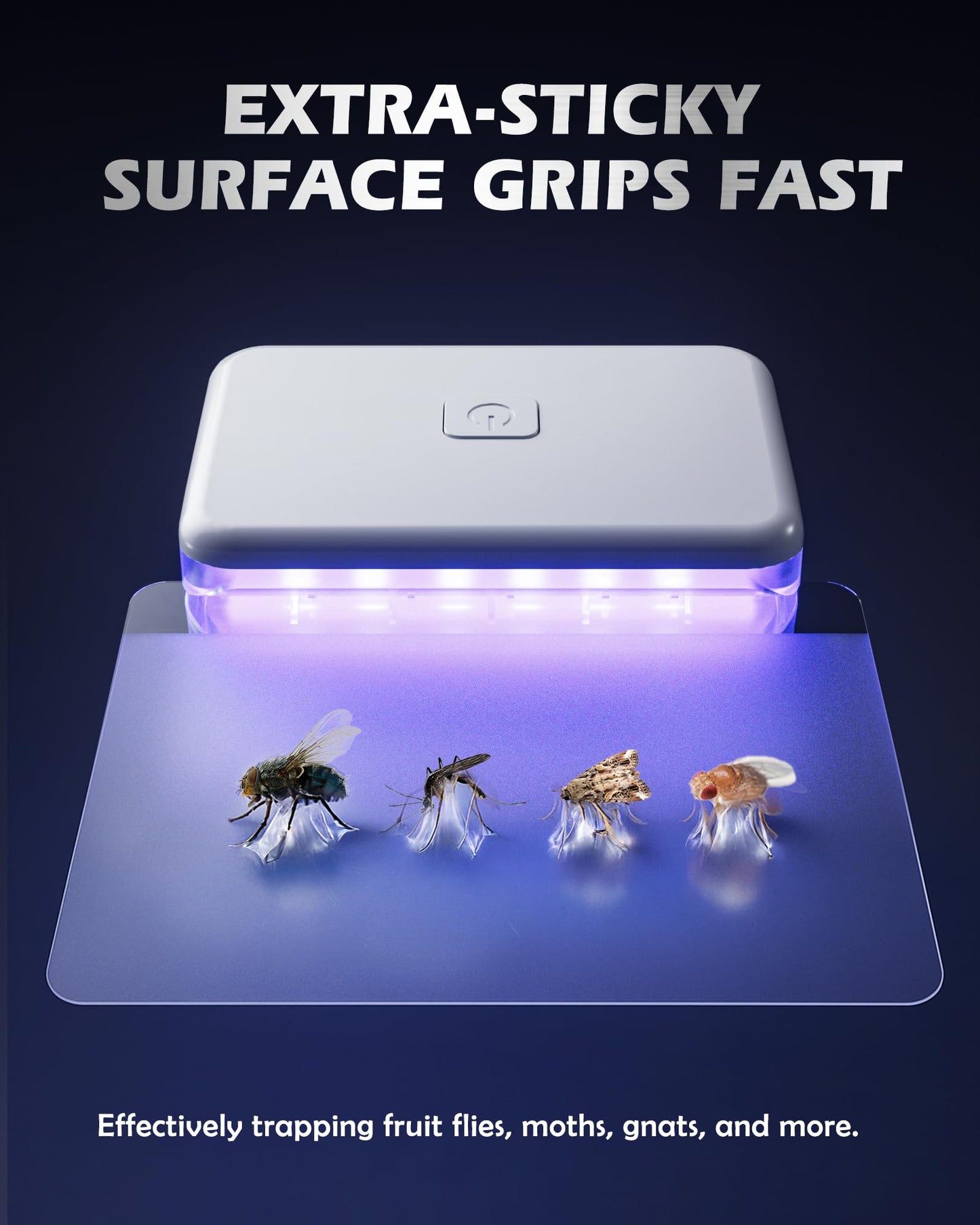 LFSYS 3 Pcs Fruit Fly Traps for Indoors (3 Device+20 Refills) Plug in Fly Trap for Gnats, Fruit Flies, Flying Insects Sleek Design Indoor Safe