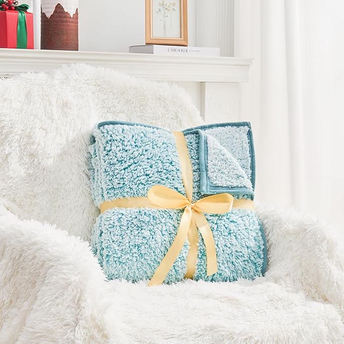EMME Fuzzy Blanket Soft Fleece Throw Blankets for Women, Fluffy Sherpa Throws(Plush Teal,60"x80")