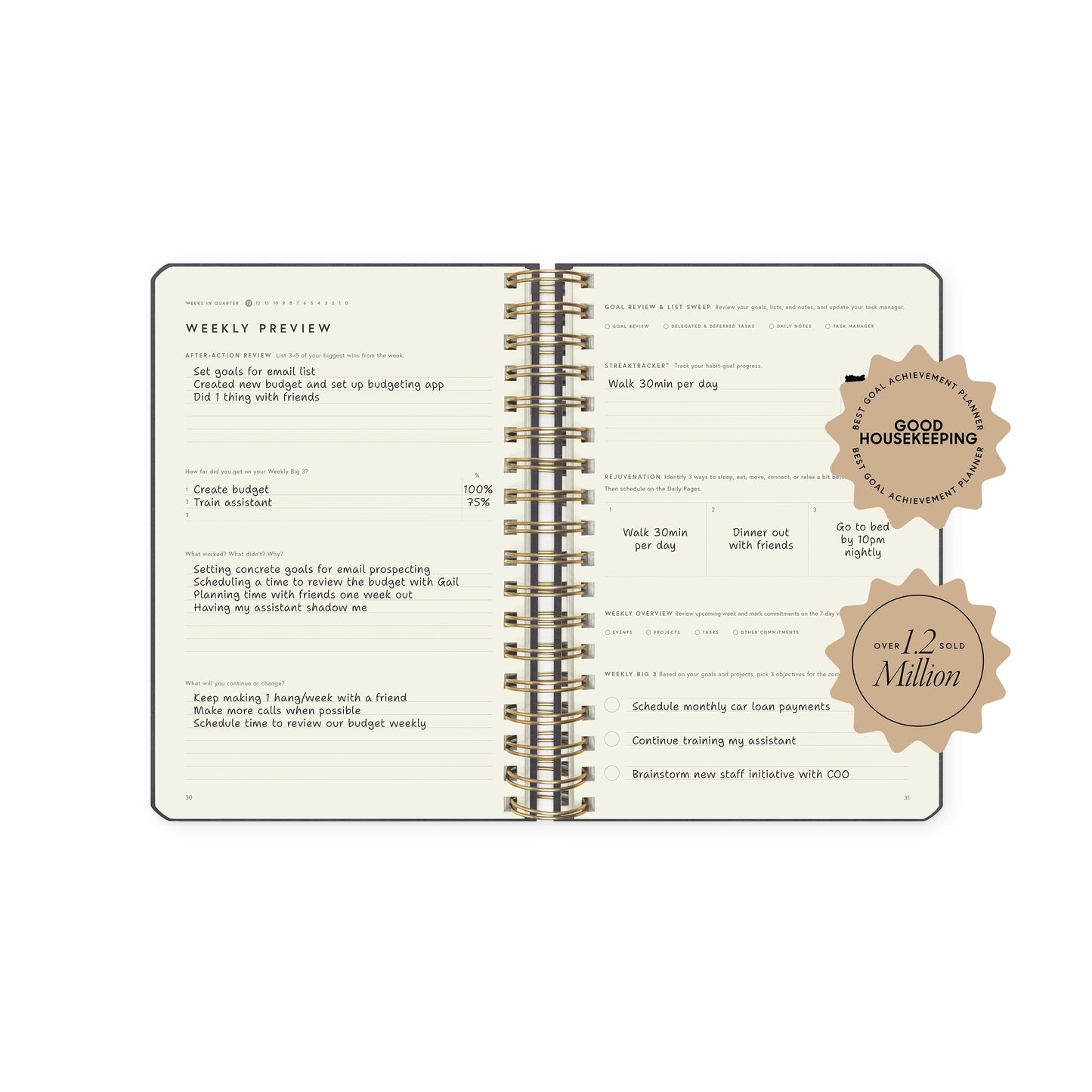 Full Focus Leather Coil Planner by Michael Hyatt - The #1 Daily Planner to Set Annual Goals, Increase Focus, Eliminate Overwhelm, and Achieve Your Biggest Goals - Hardcover (Gray)