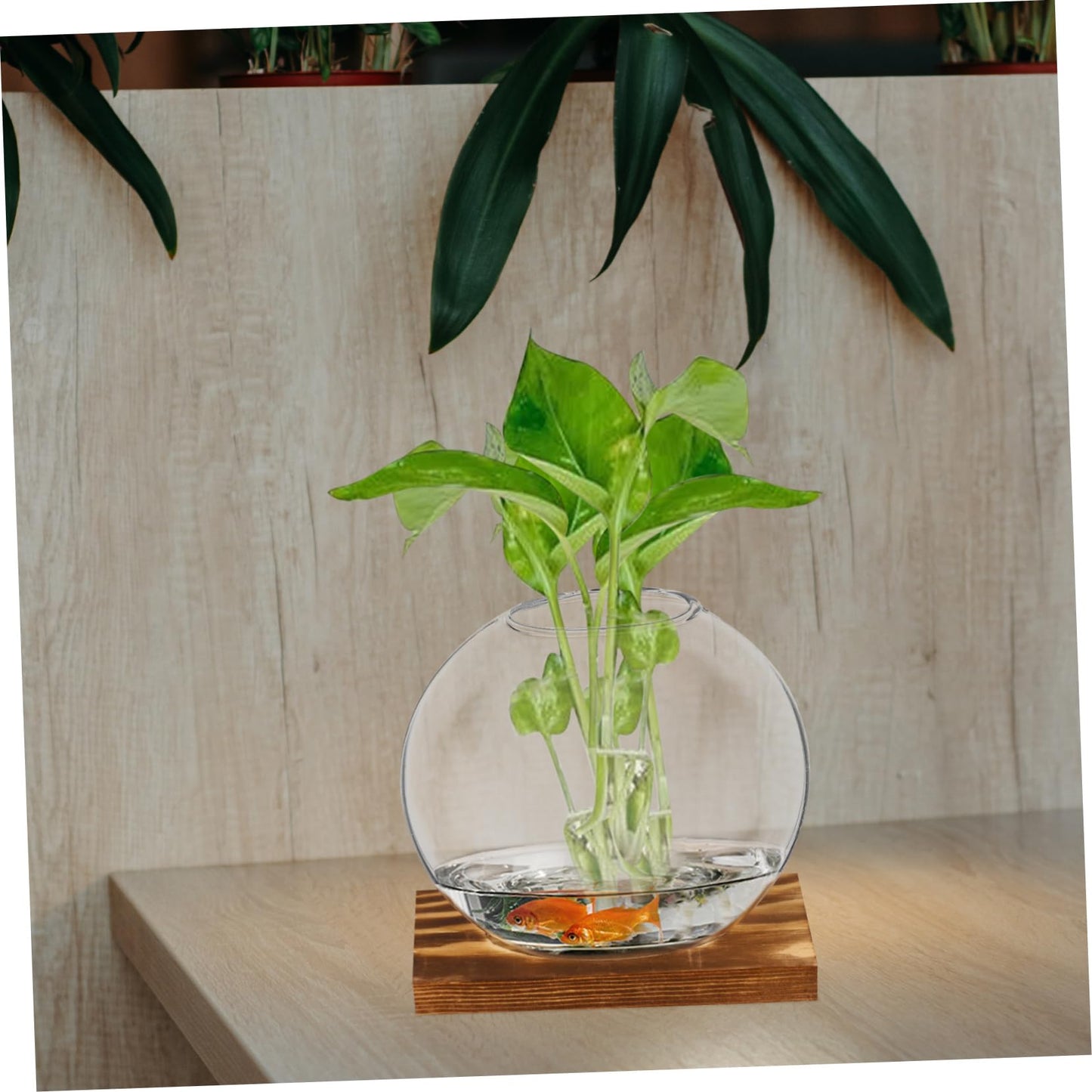 Mipcase 2sets Wooden Vase Glass Terrarium Indoor Plant Wall Garden Propagation Terrariums