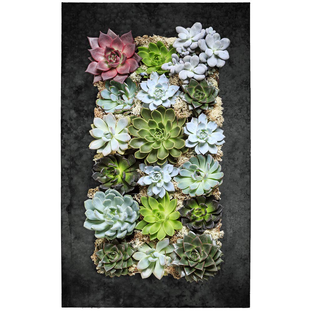 Modern Home Living Wall Galvanized Steel/Zinc Succulent Planter, Wall Mounted Garden Pocket Planter (18 Pocket, Black Zinc)