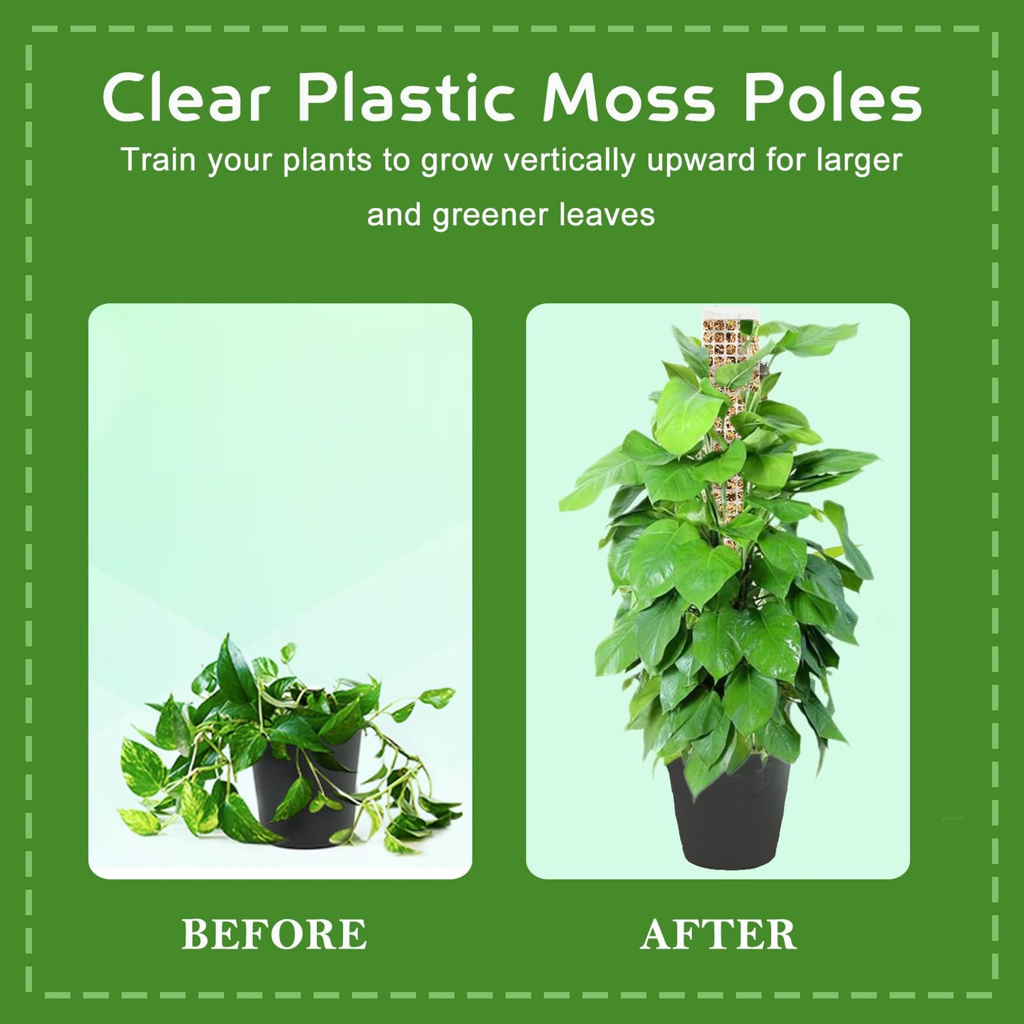 4 Pack 24 Inch D-Shaped Clear Plastic Moss Pole for Plants Monstera, Stackable Climbing Plant Support for Monstera, Pothos, Philodendron, Open Design for Sphagnum Moss