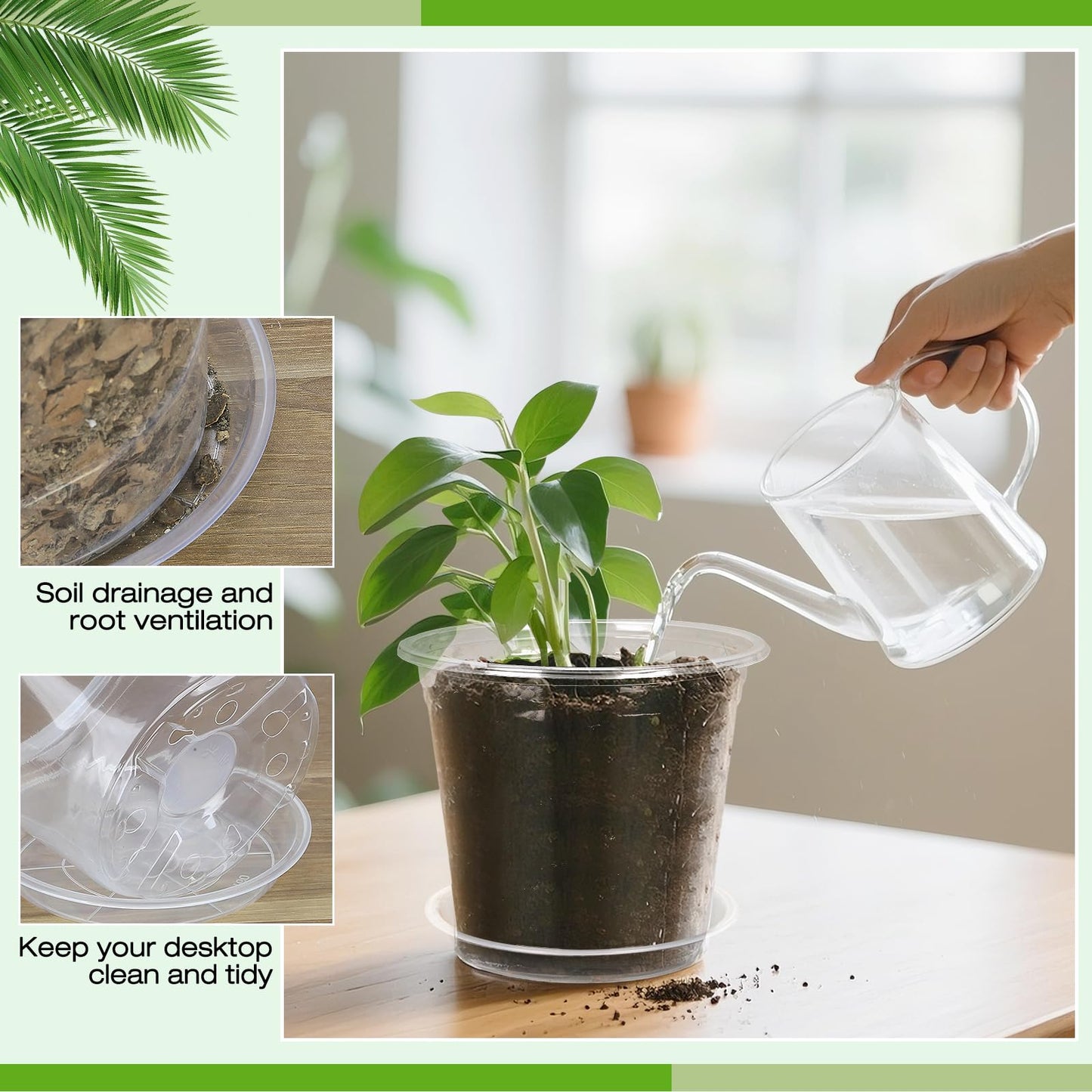 FUOAUYK 6 Inch Clear Nursery Pots with Drainage Trays, 15 Pack Plastic Pots for Plants, Clear Pot for Seed Starting, Transplanting, Succulents, and Indoor Gardening (6 inch)