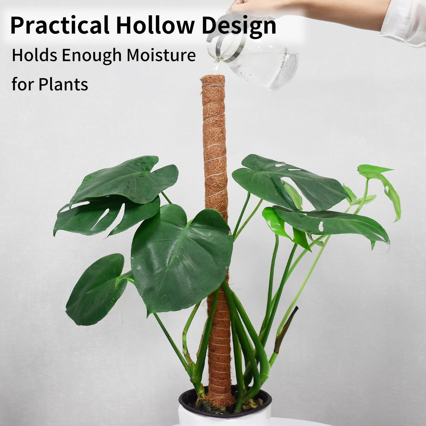 JJGoo Moss Pole for Plants Monstera,【8 Pack】 23.6 inch Plant Support Pole, Extendable Coir Totem Pole for Potted Plants Pothos, Train Indoor Climbing Plants to Grow Upwards