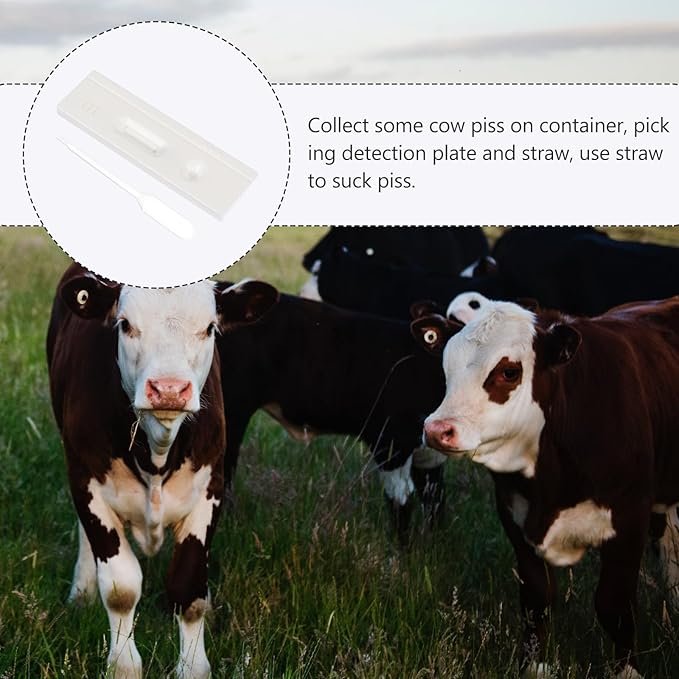 2Pcs Cow Pregnancy Test Paper High Precision Cattle Early Detection Strips Fast Results Vacuum-Packed for Safety and Health for Dairy Livestock