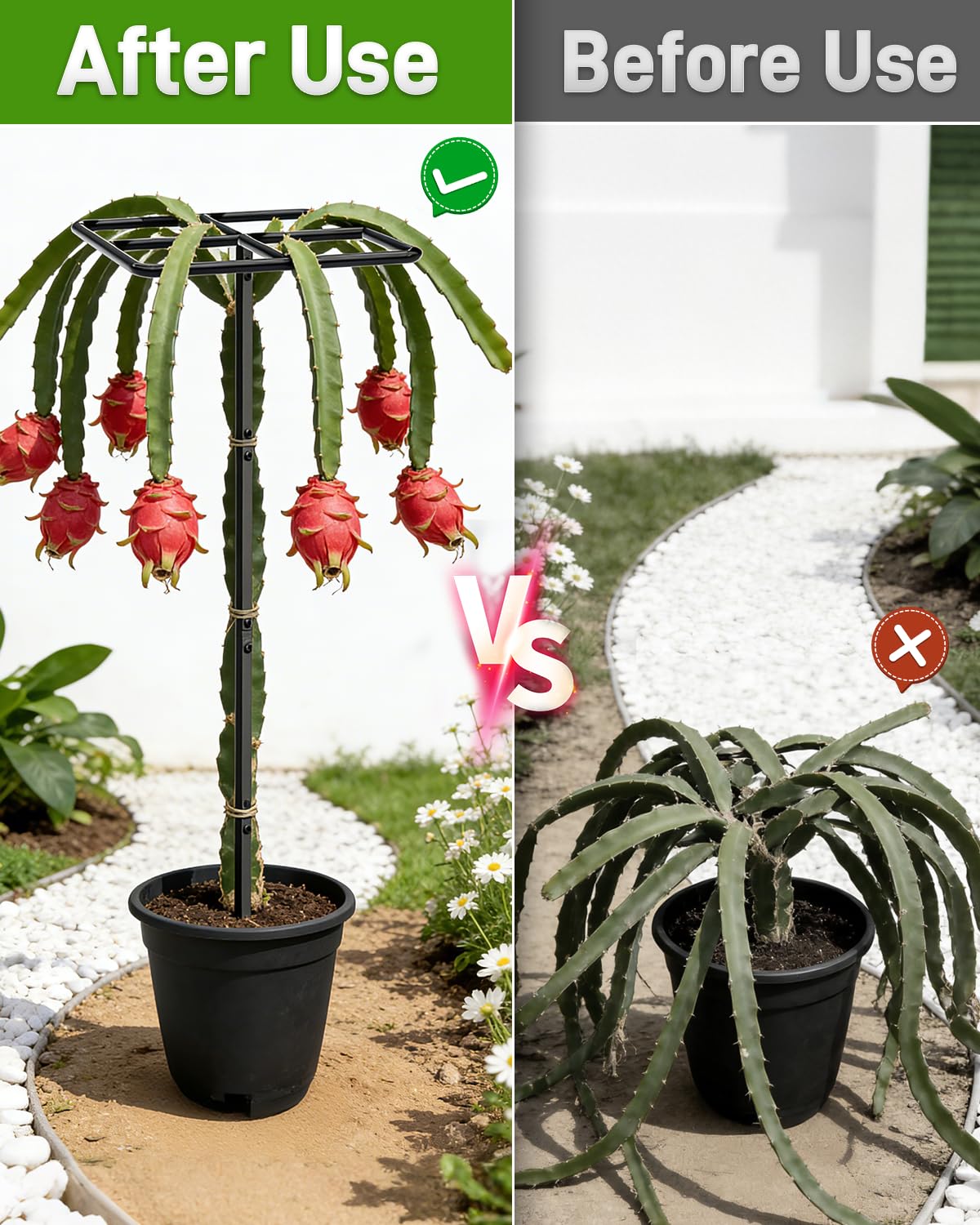 2 Pack 66''×16'' Heavy-Duty Metal Dragon Fruit Trellis, Adjustable Gardening Support Stand for Vertical Climing Plants,Trees,Cactus Garden Outdoor Indoor Potted Support