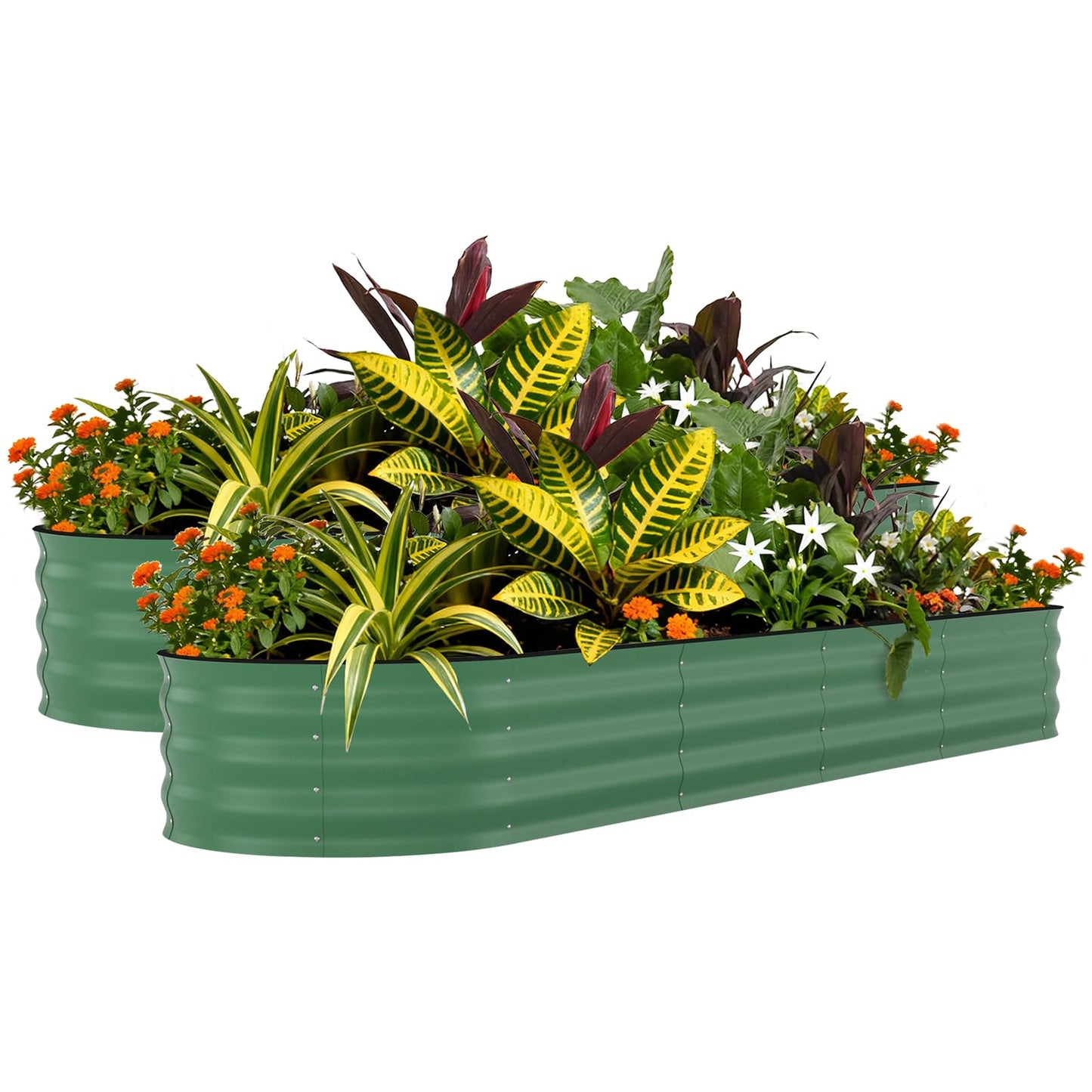 Garvee 2 Pack 8x2x1.5ft Galvanized Raised Garden Bed Kit, Oval Metal Planter Boxes with Anti-Cut Safety Edges, Rust-Resistant Deep Root Planters for Outdoor Vegetables, Flowers, Herbs, Green